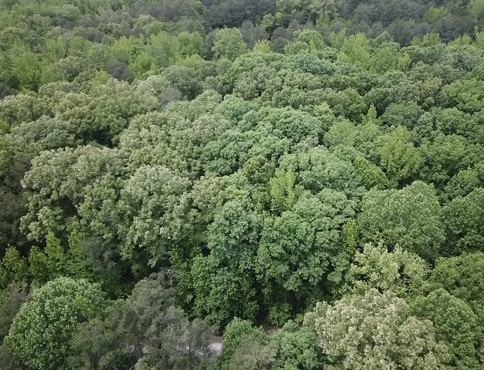 730 Wayne Smith Rd Property Photo 5