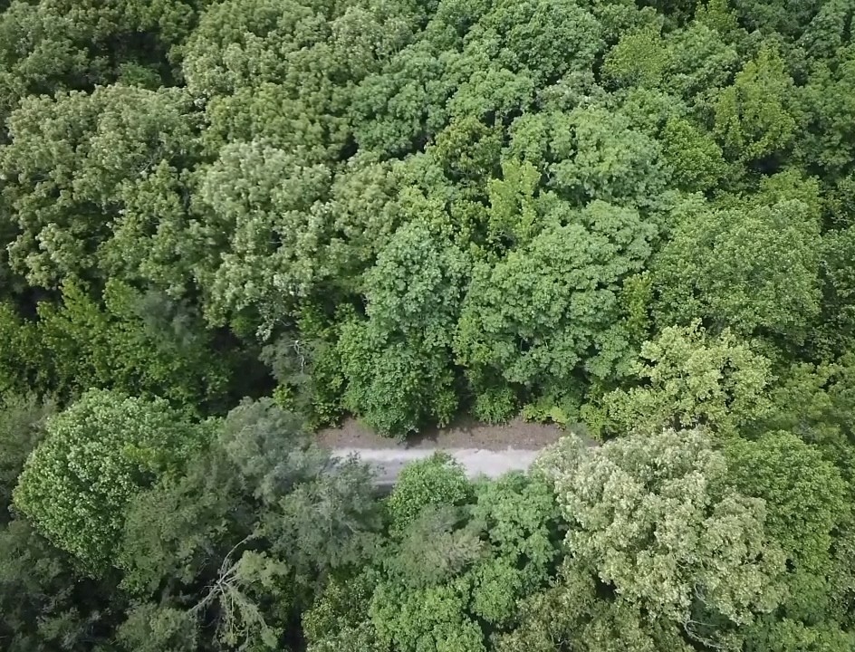 730 Wayne Smith Rd Property Photo 6
