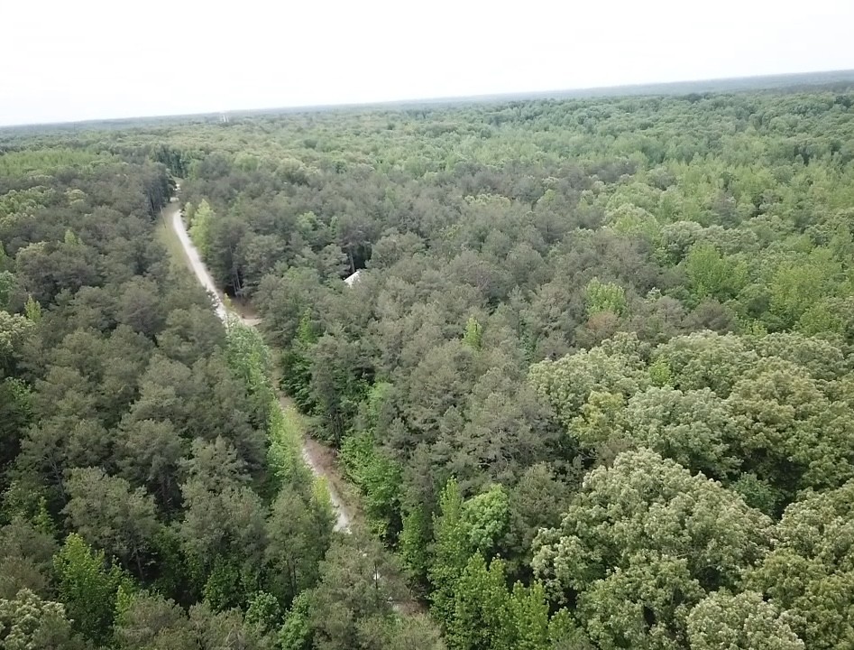 730 Wayne Smith Rd Property Photo 7