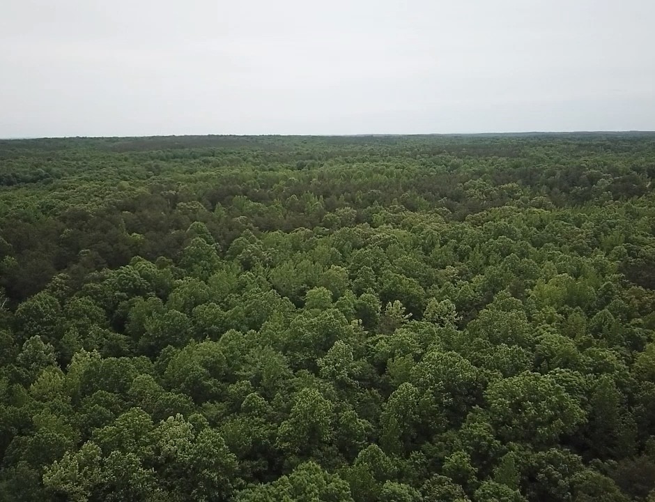 730 Wayne Smith Rd Property Photo 8