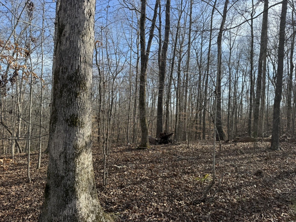 0 Riverwatch Trace Property Photo 2