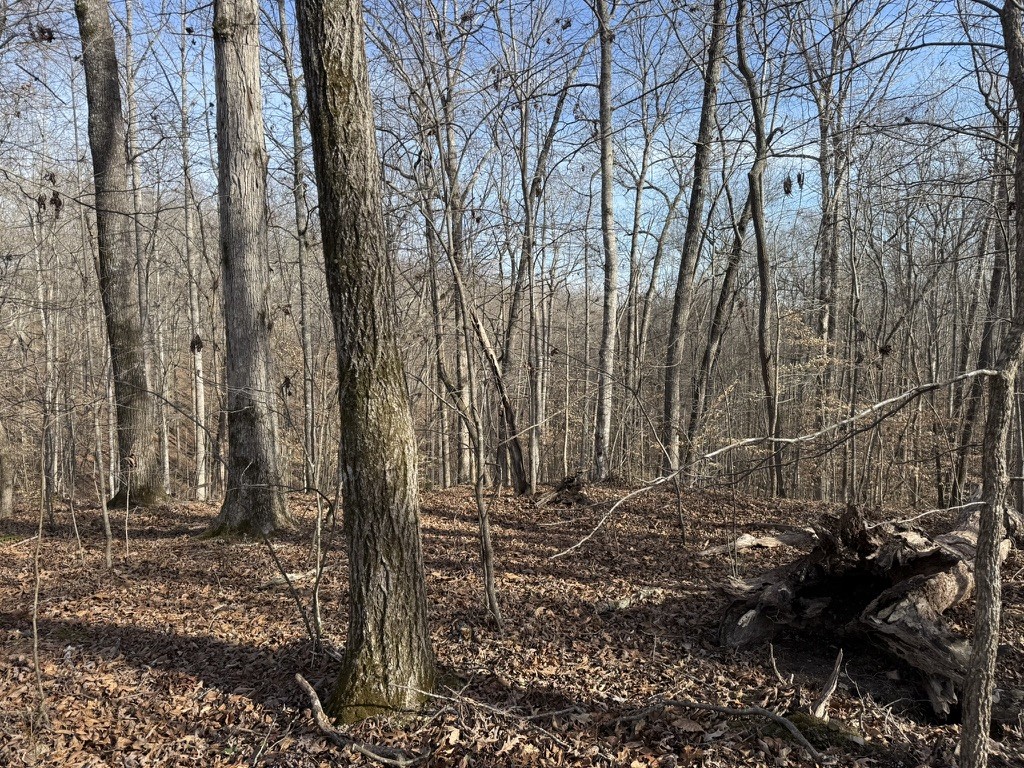 0 Riverwatch Trace Property Photo 4