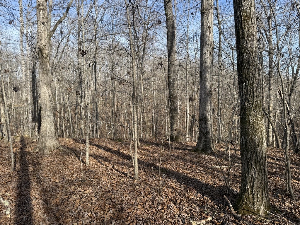 0 Riverwatch Trace Property Photo 5