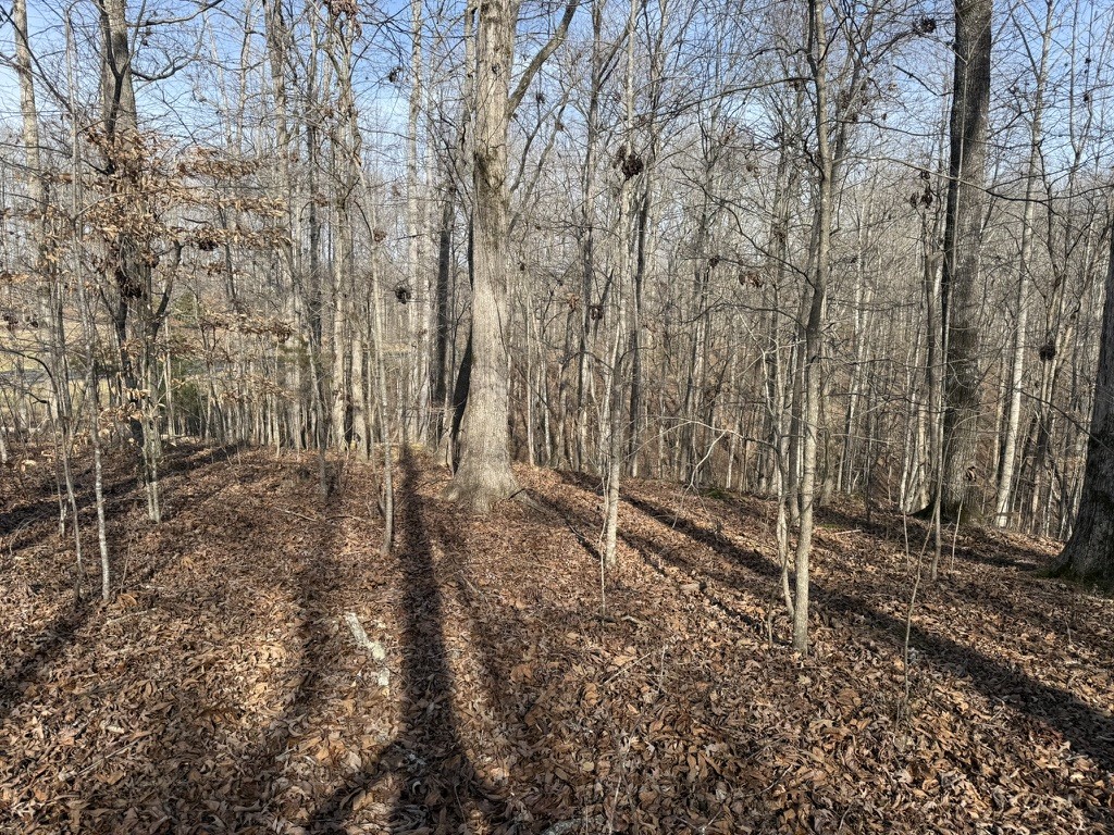 0 Riverwatch Trace Property Photo 6