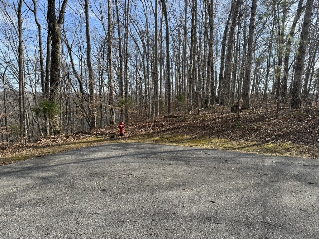 0 Mountain Harbor Drive Property Photo 1