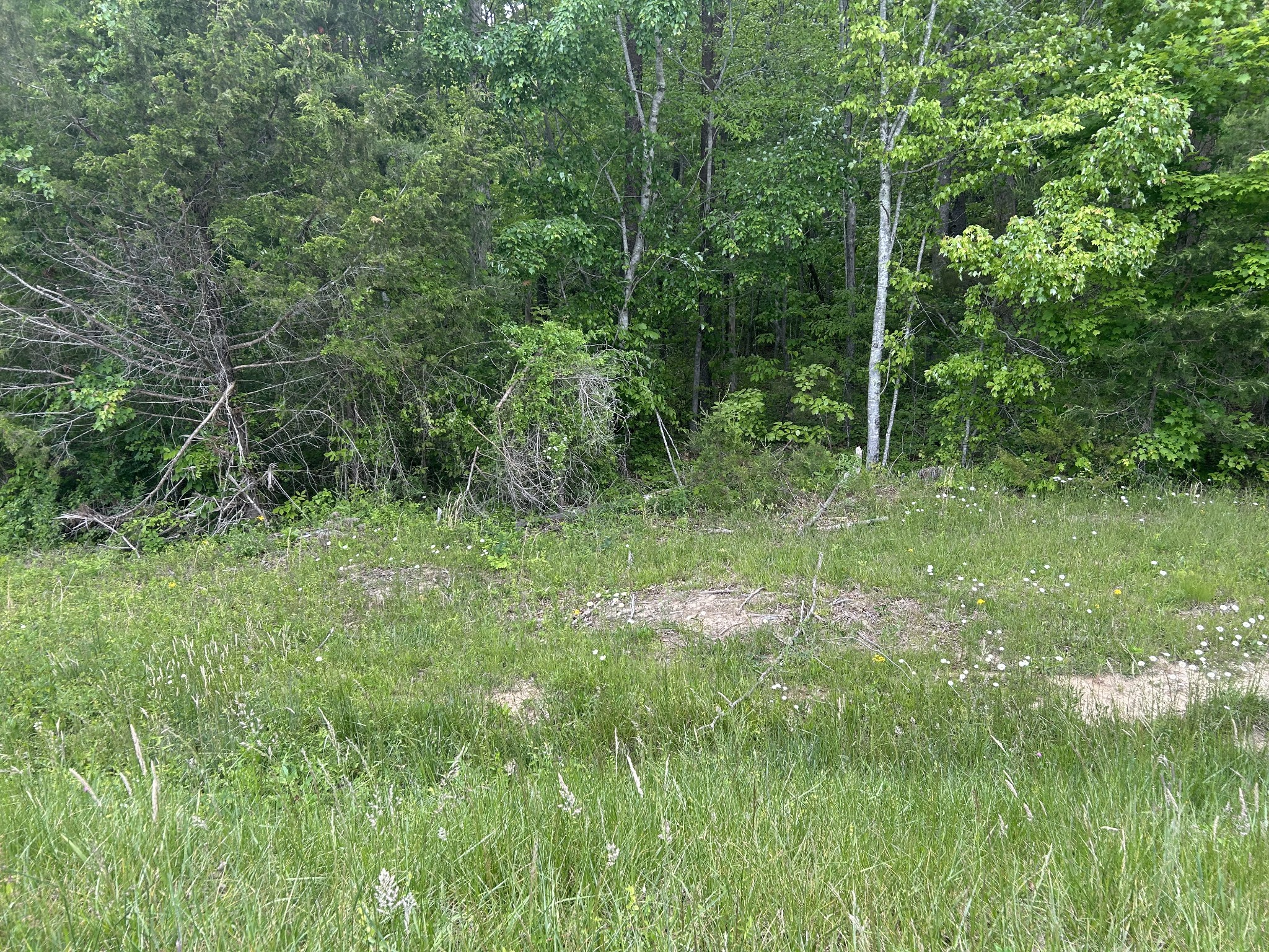 0 Rt Davis Rd Property Photo 3