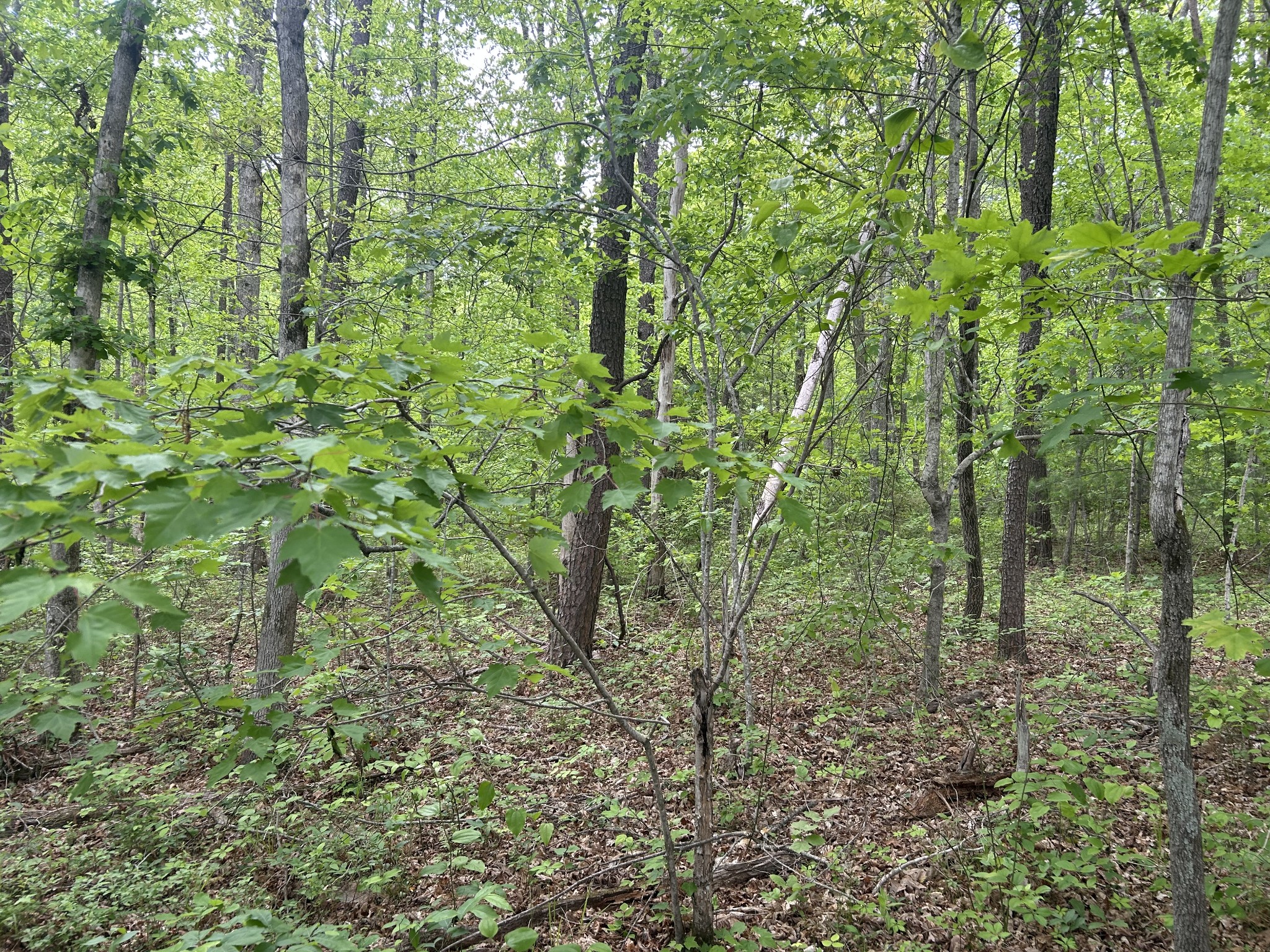 0 Rt Davis Rd Property Photo 5