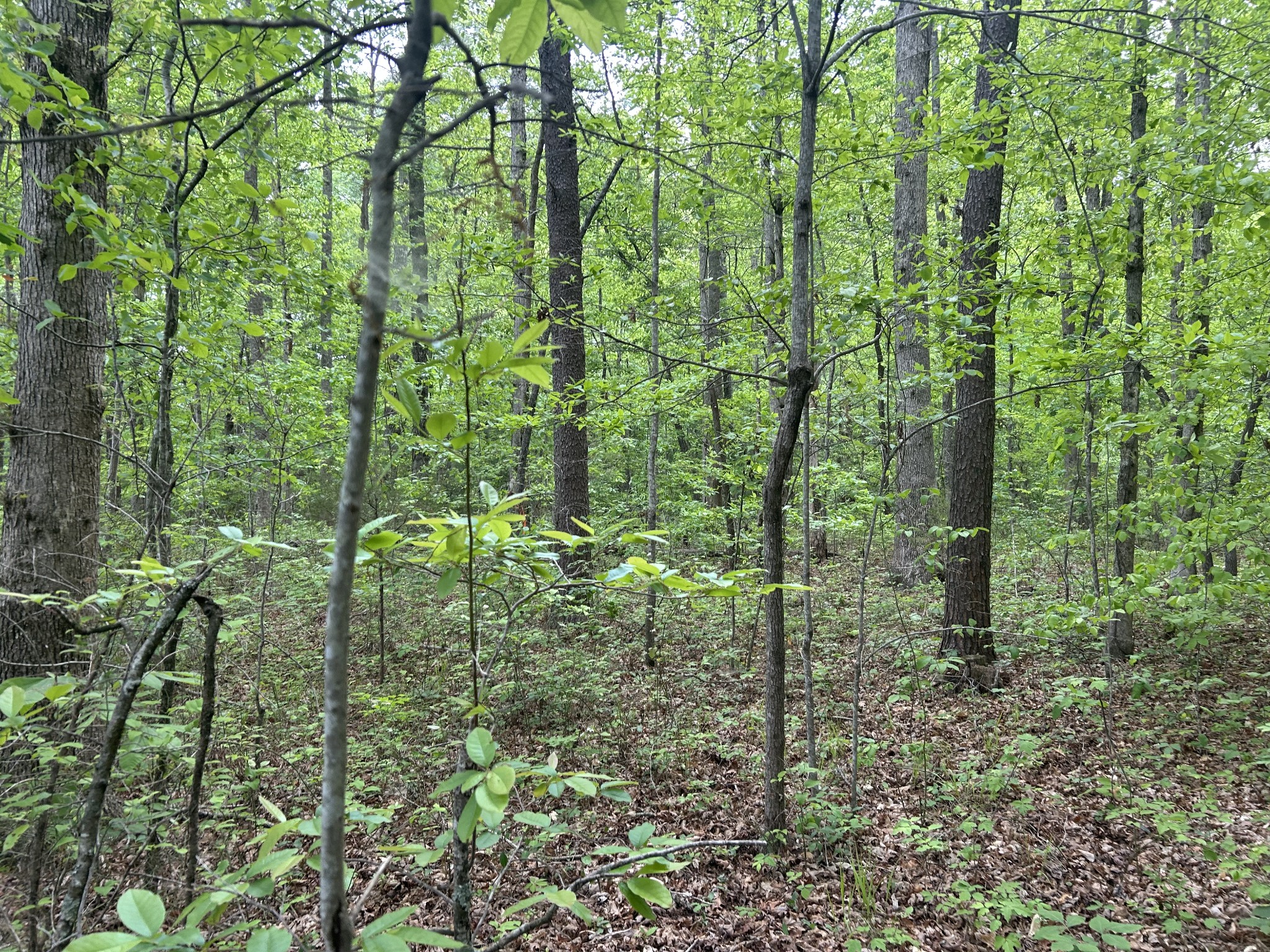 0 Rt Davis Rd Property Photo 6