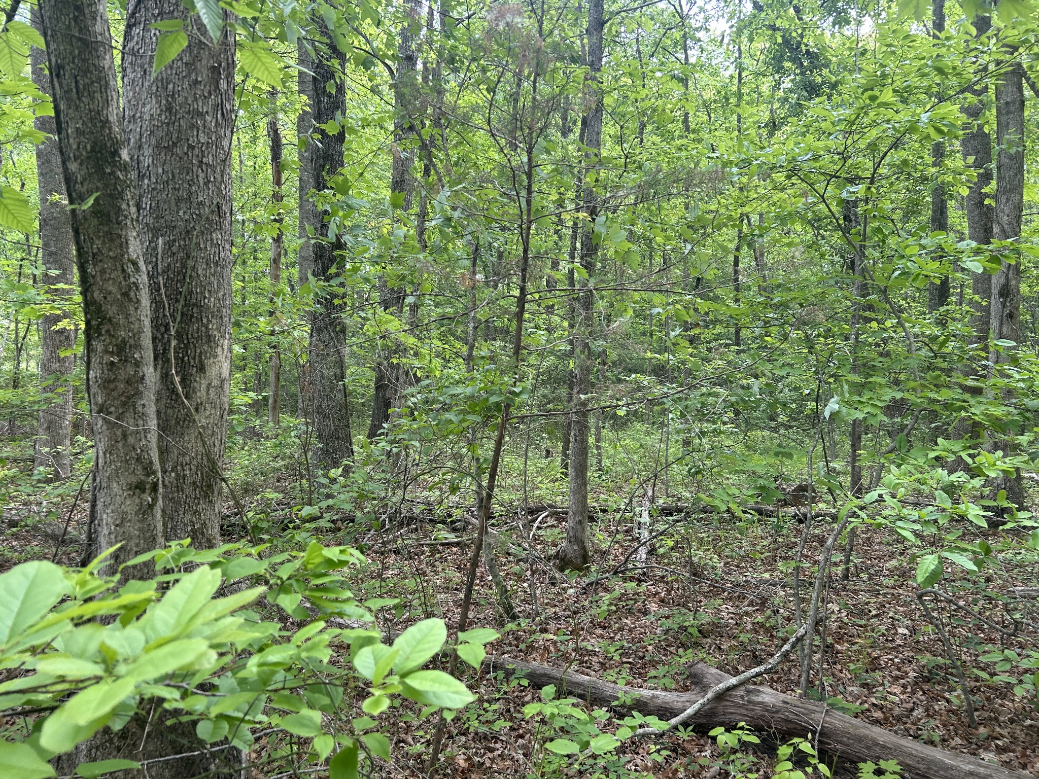0 Rt Davis Rd Property Photo 9