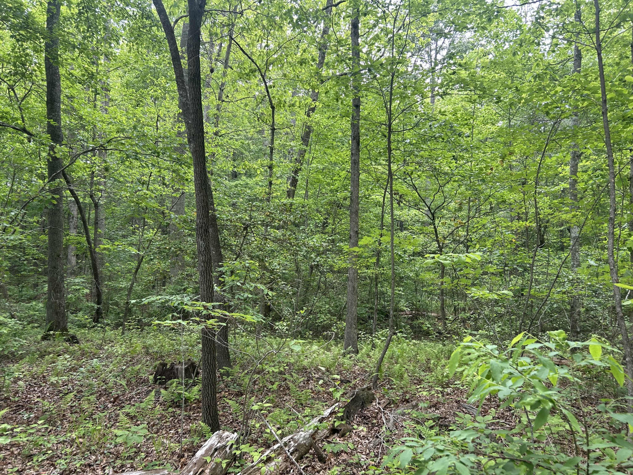 0 Rt Davis Rd Property Photo 10