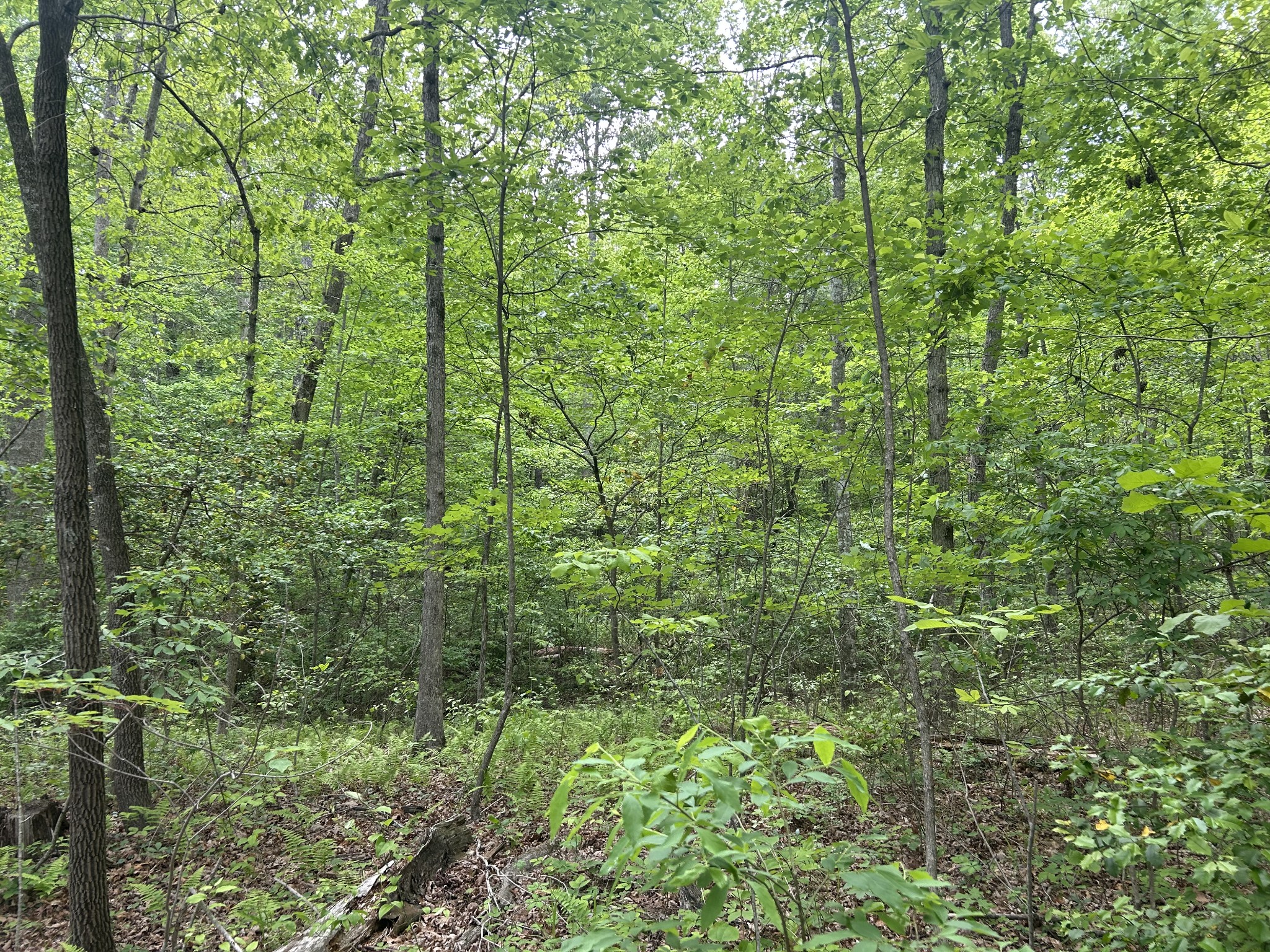 0 Rt Davis Rd Property Photo 11