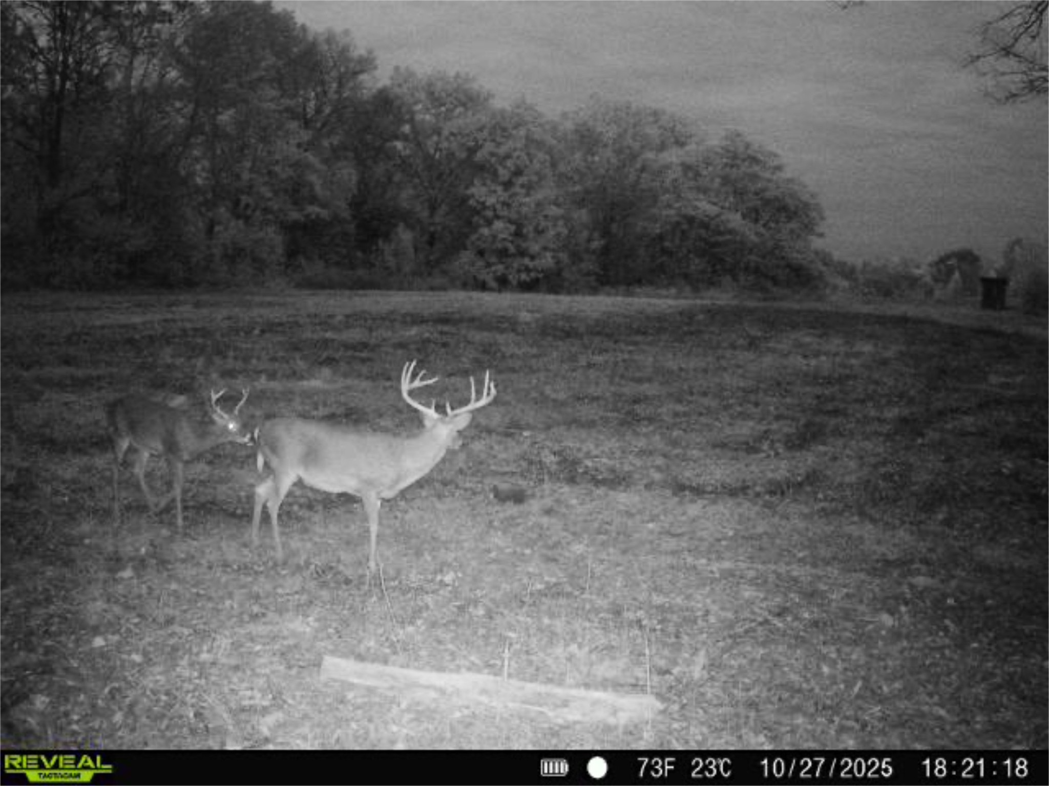 143 Buford Hughey Rd Property Photo 20