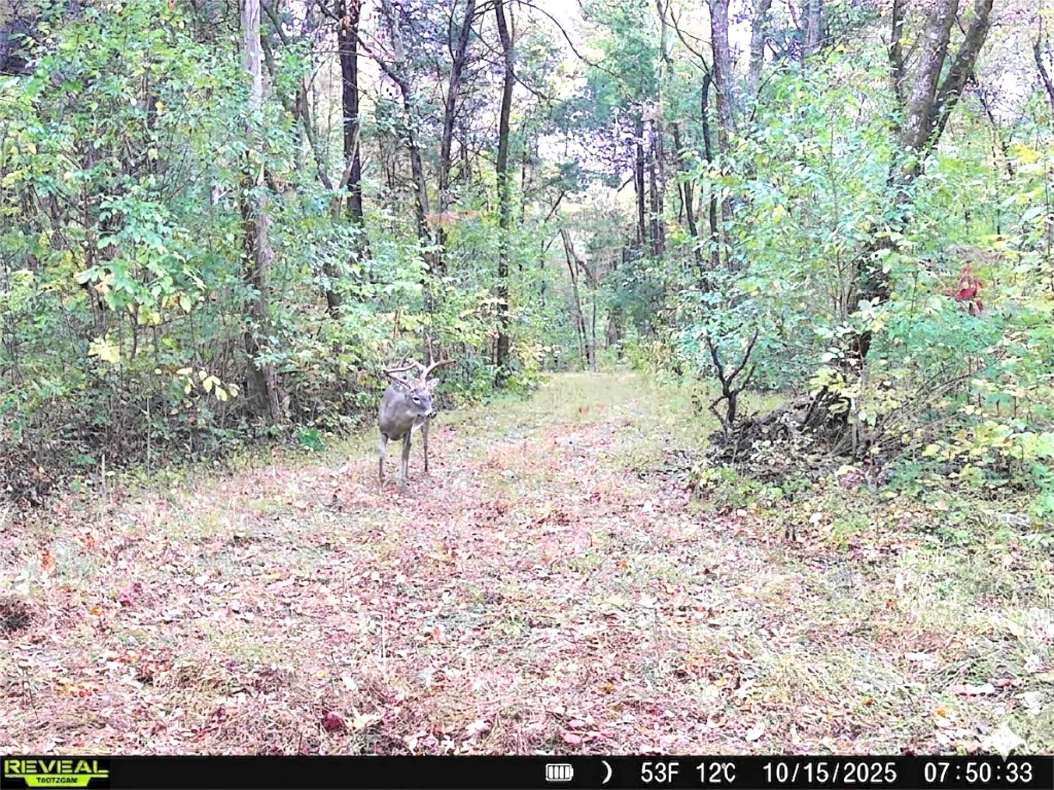 143 Buford Hughey Rd Property Photo 21