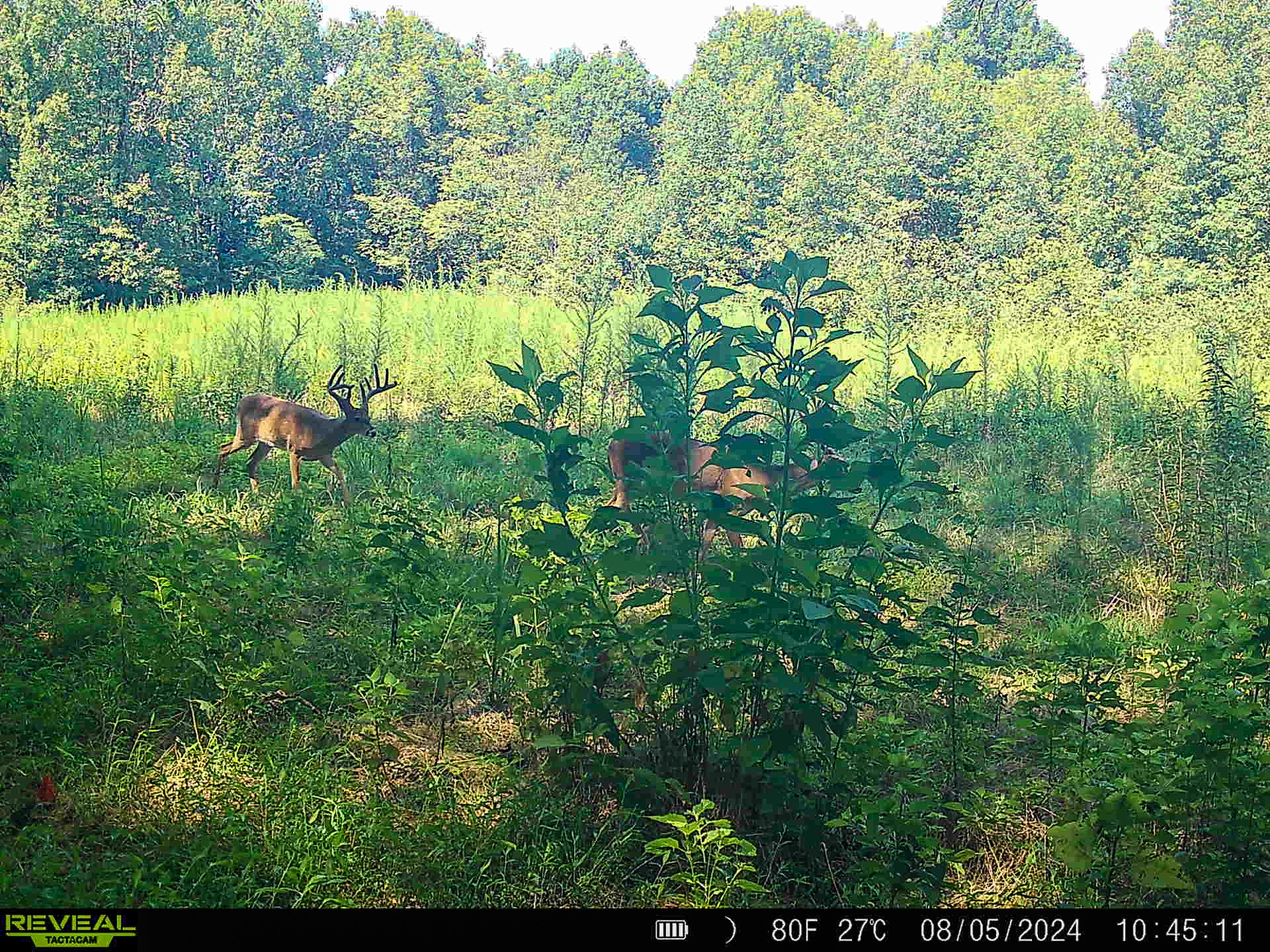 143 Buford Hughey Rd Property Photo 22