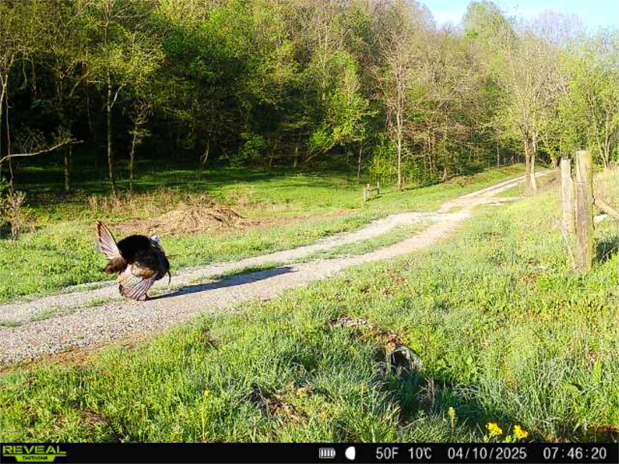 143 Buford Hughey Rd Property Photo 24