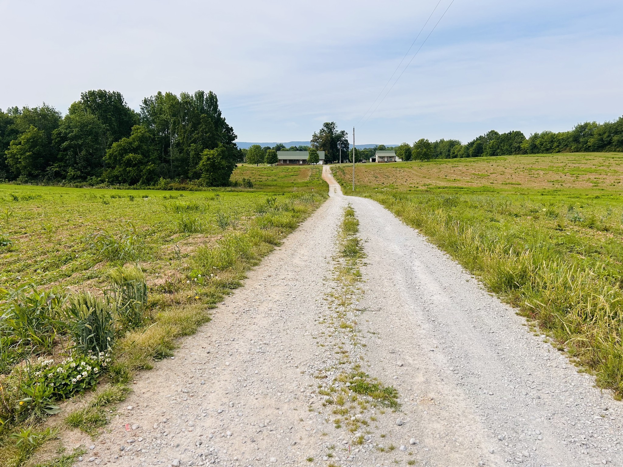 235 Breezy Knoll Ln Property Photo 1