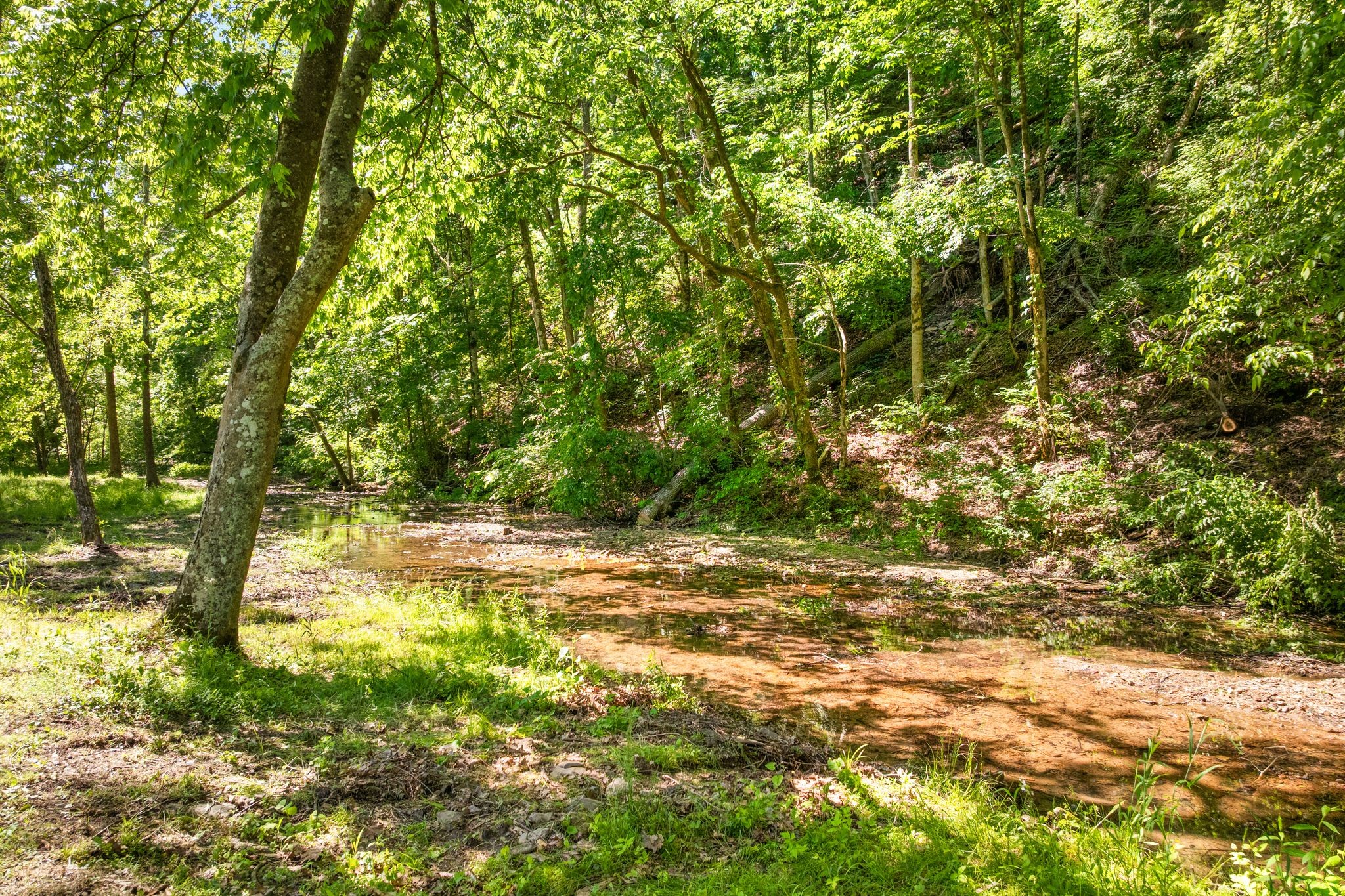 5401 Old Highway 96 Property Photo 49