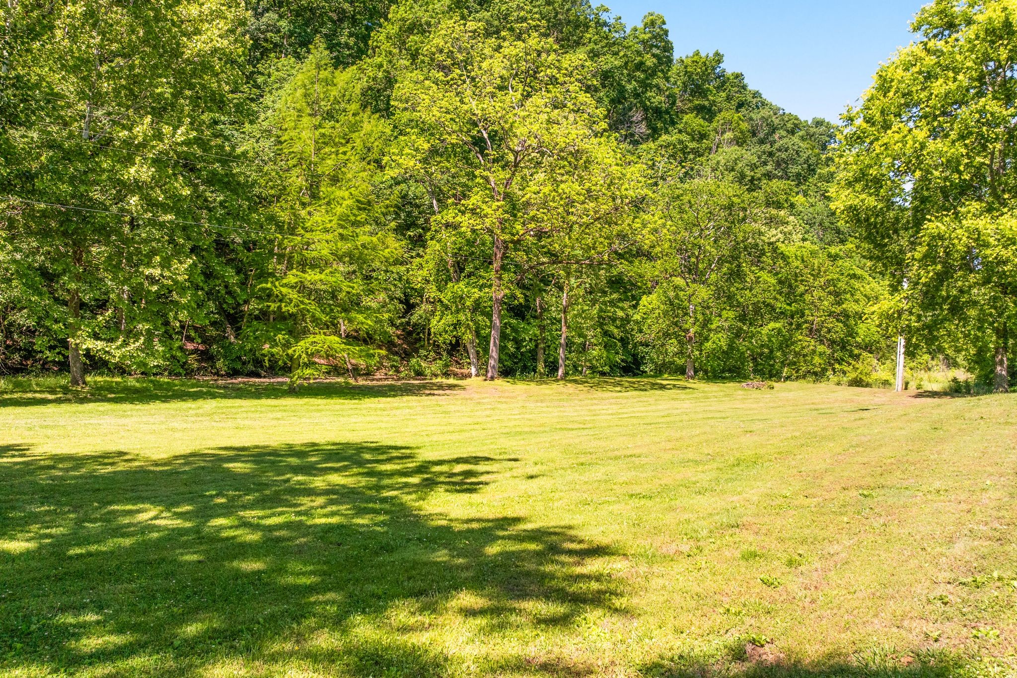 5401 Old Highway 96 Property Photo 50