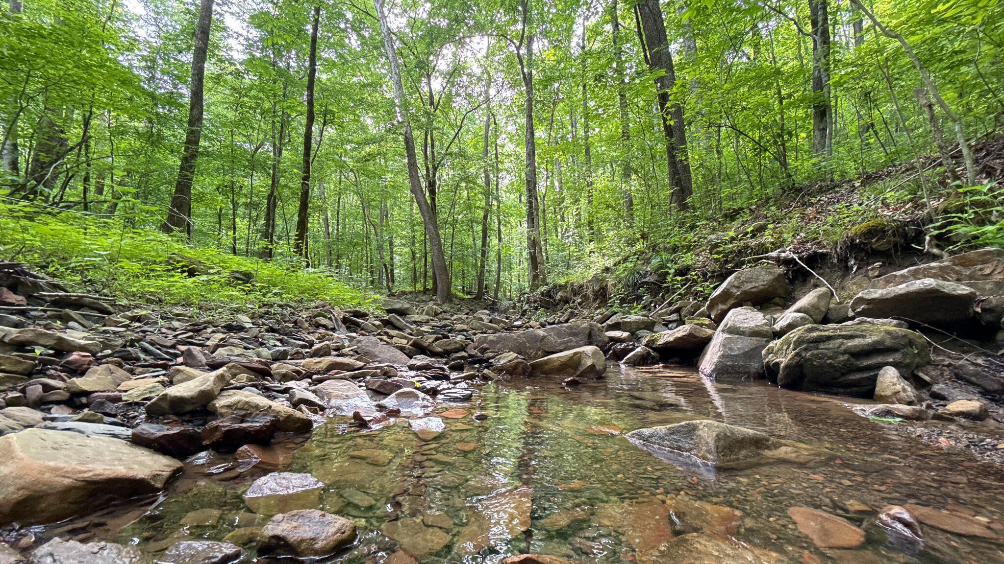 0 Murphy Hollow Property Photo 2