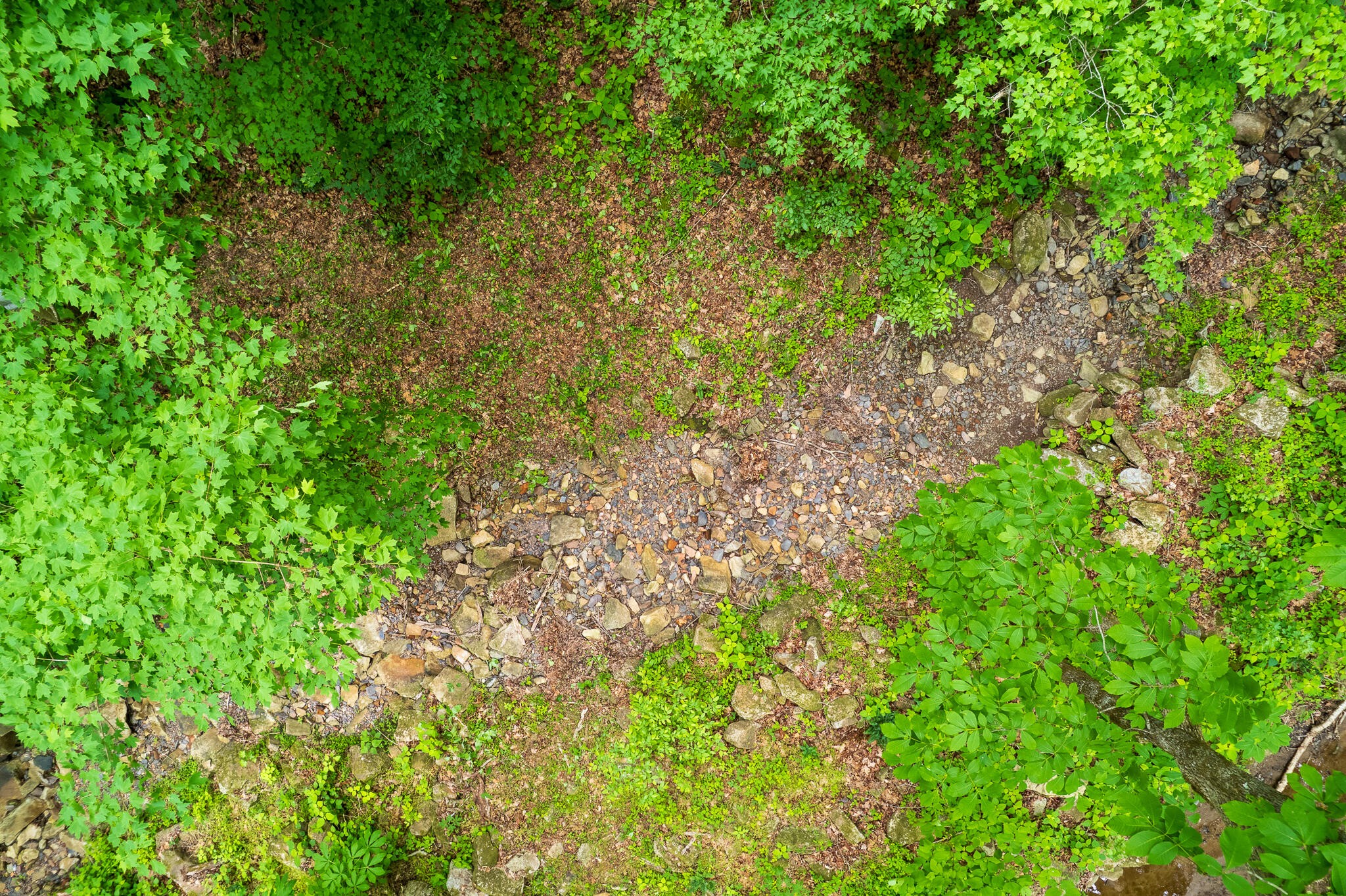 0 Murphy Hollow Property Photo 3