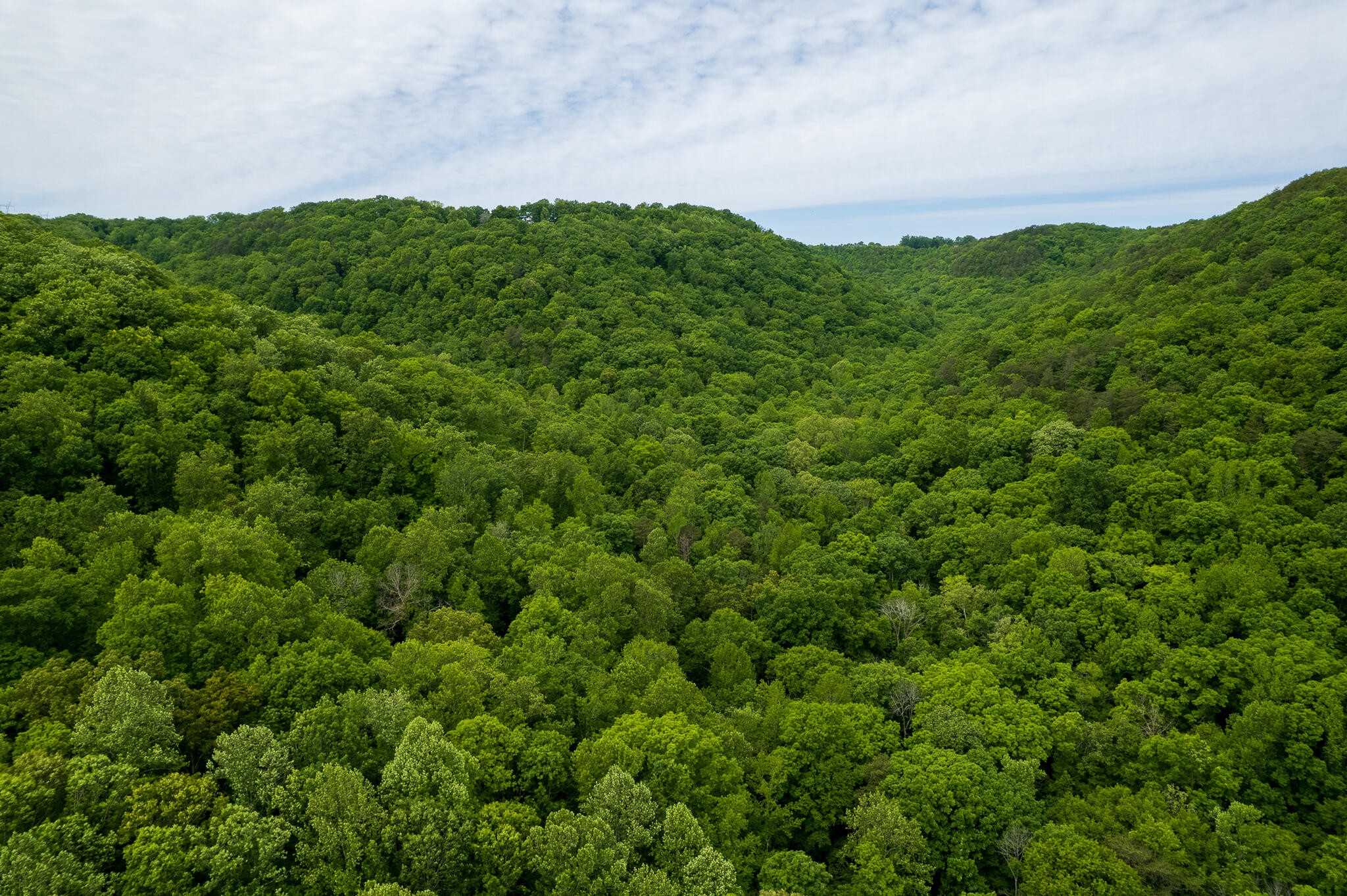 0 Murphy Hollow Property Photo 5