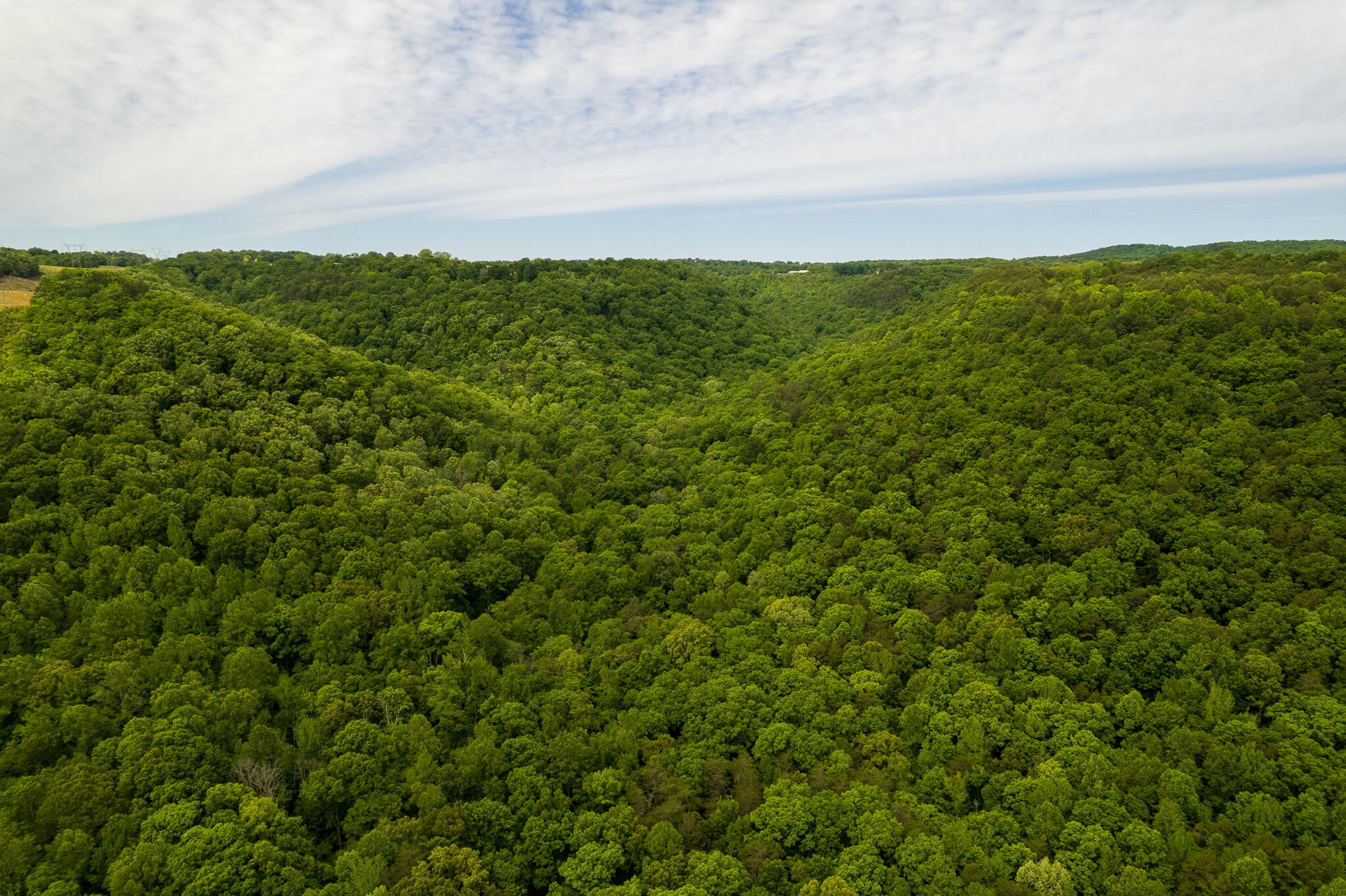 0 Murphy Hollow Property Photo 7