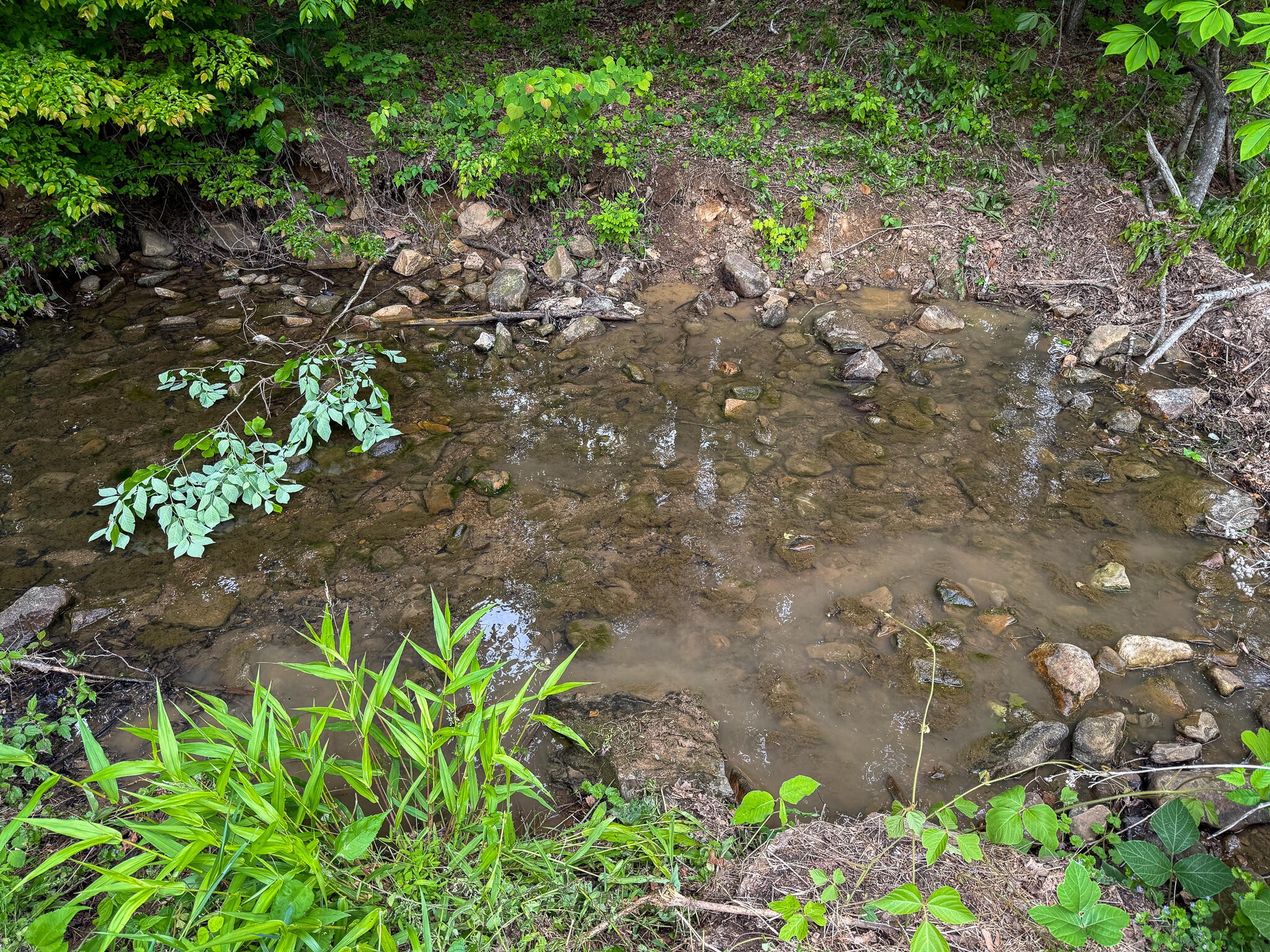 0 Murphy Hollow Property Photo 9