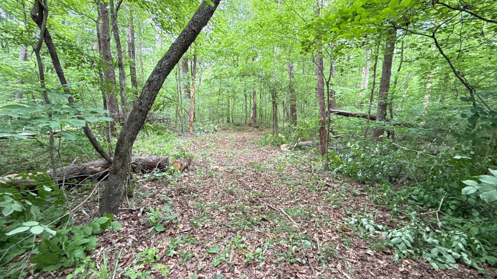 0 Murphy Hollow Property Photo 12
