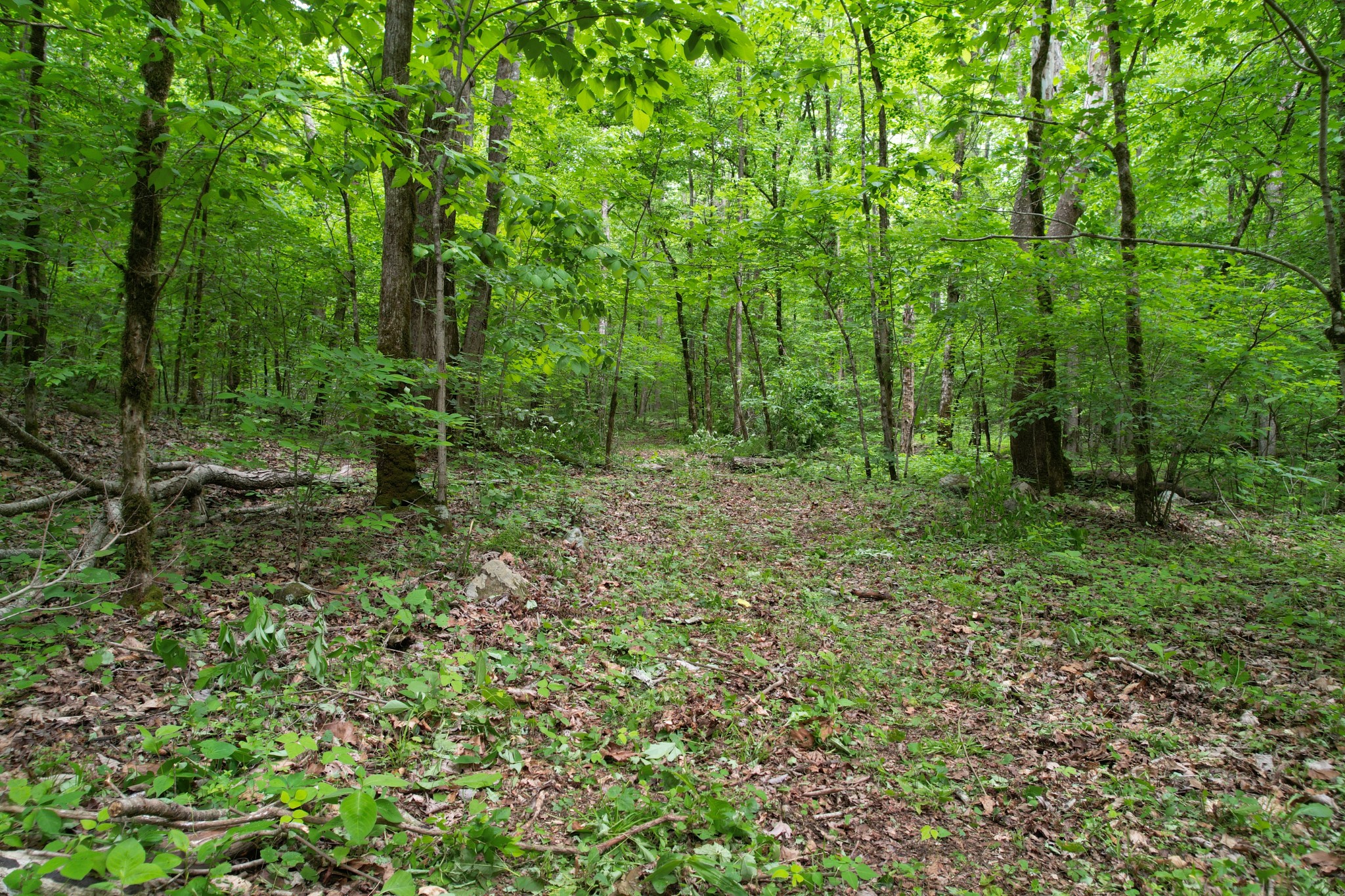 0 Murphy Hollow Rd Property Photo 6