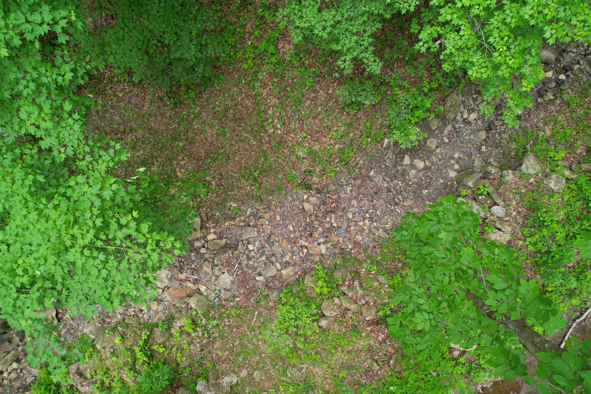 0 Murphy Hollow Rd Property Photo 8