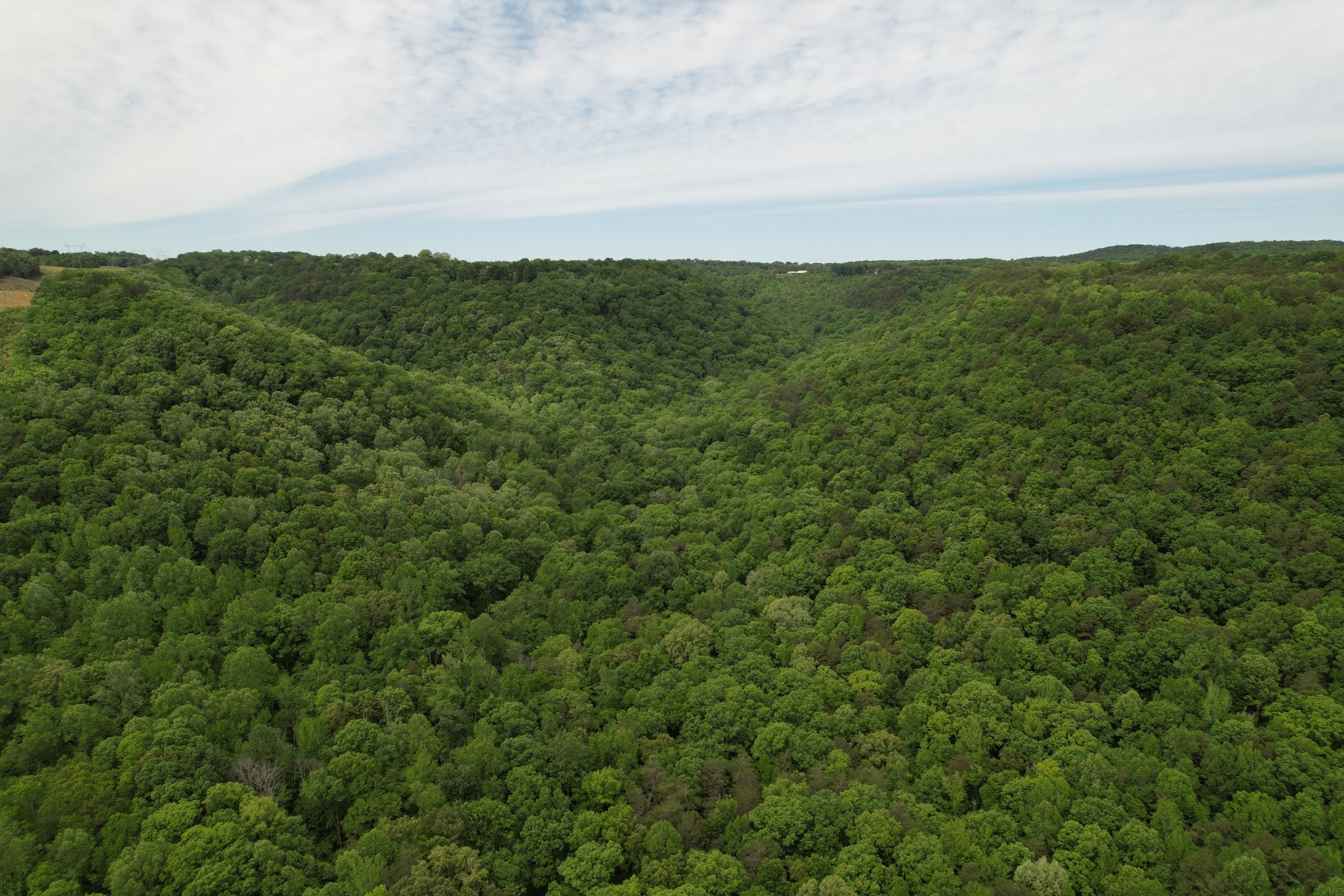 0 Murphy Hollow Rd Property Photo 11