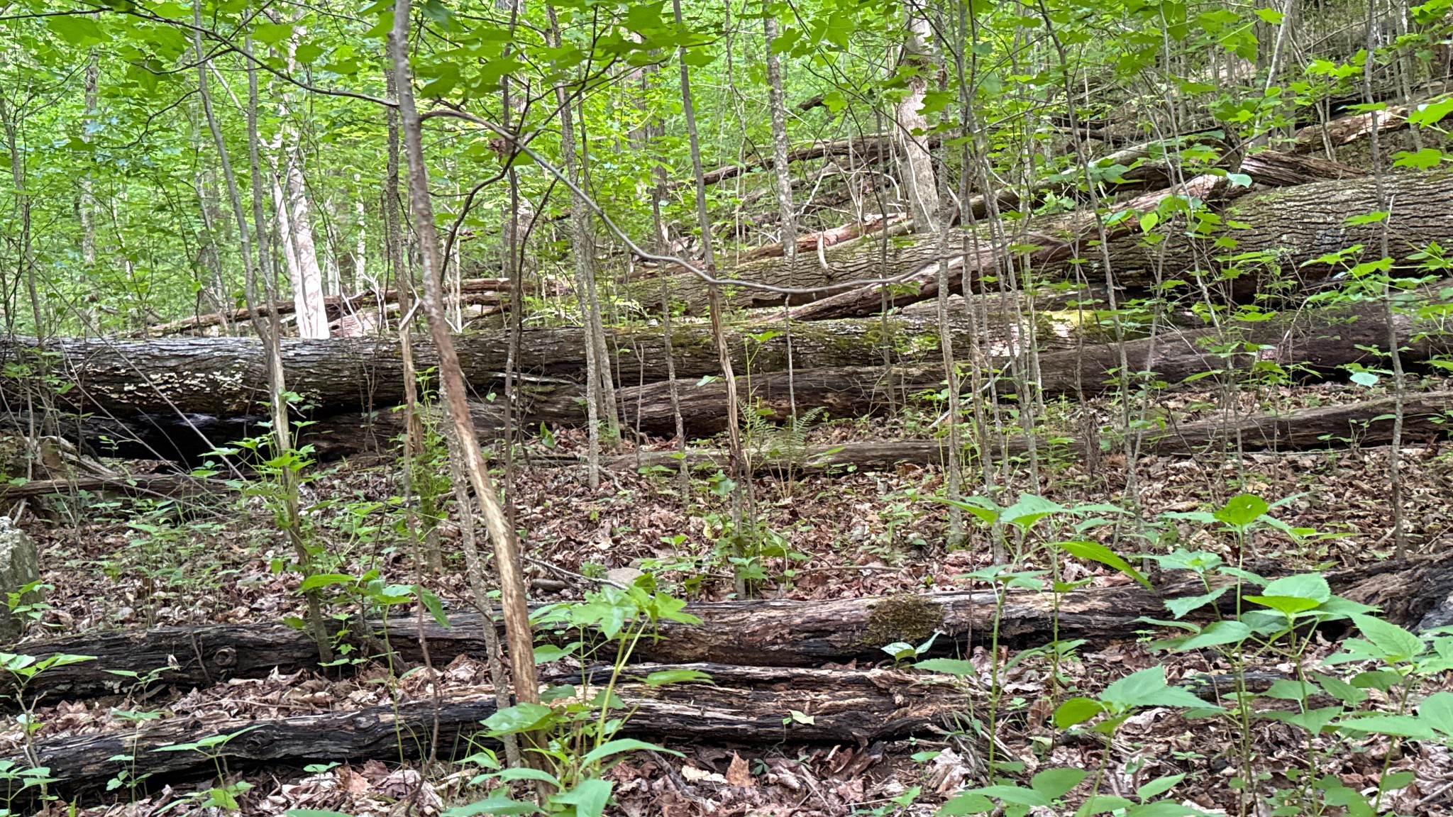 0 Murphy Hollow Rd Property Photo 14