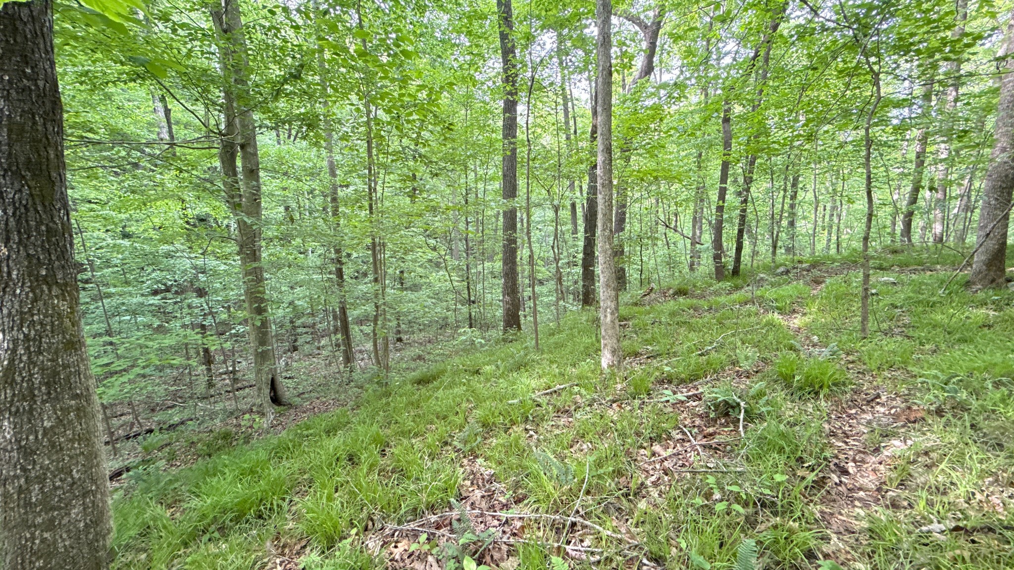 0 Murphy Hollow Rd Property Photo 15