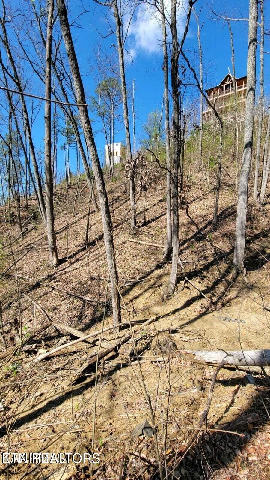 0 Walker Trail Tr Property Photo 3