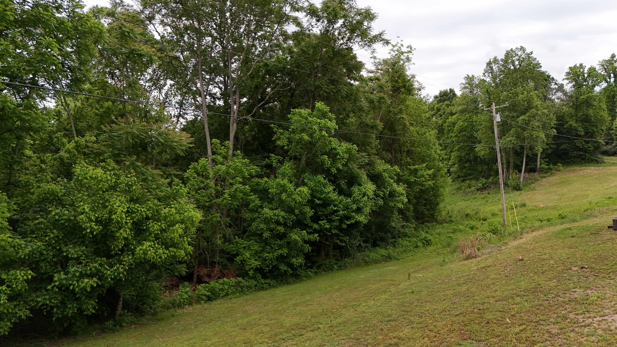 1825 Free Hill Rd Property Photo 34