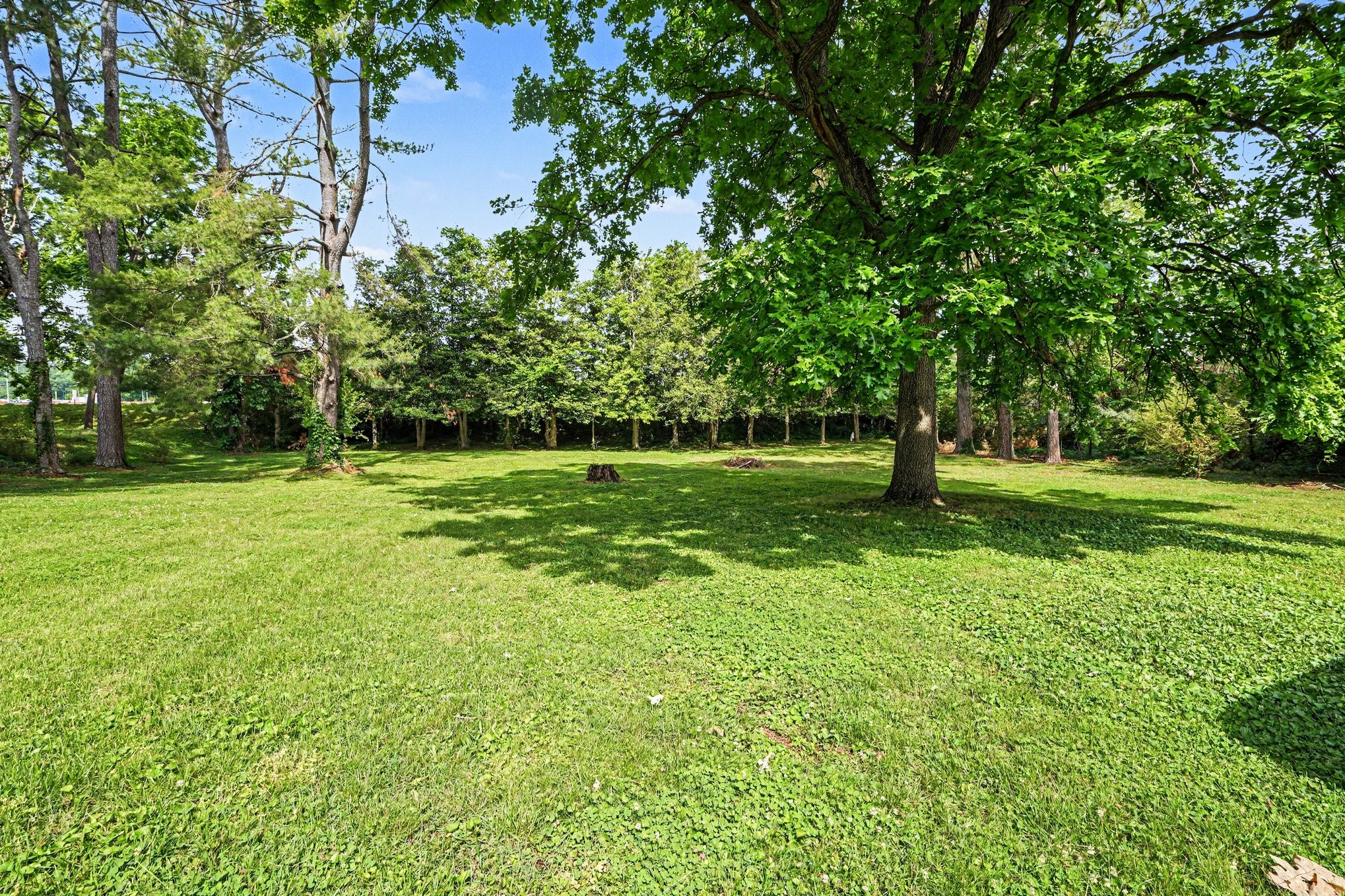 907 Camellia Dr Property Photo 21