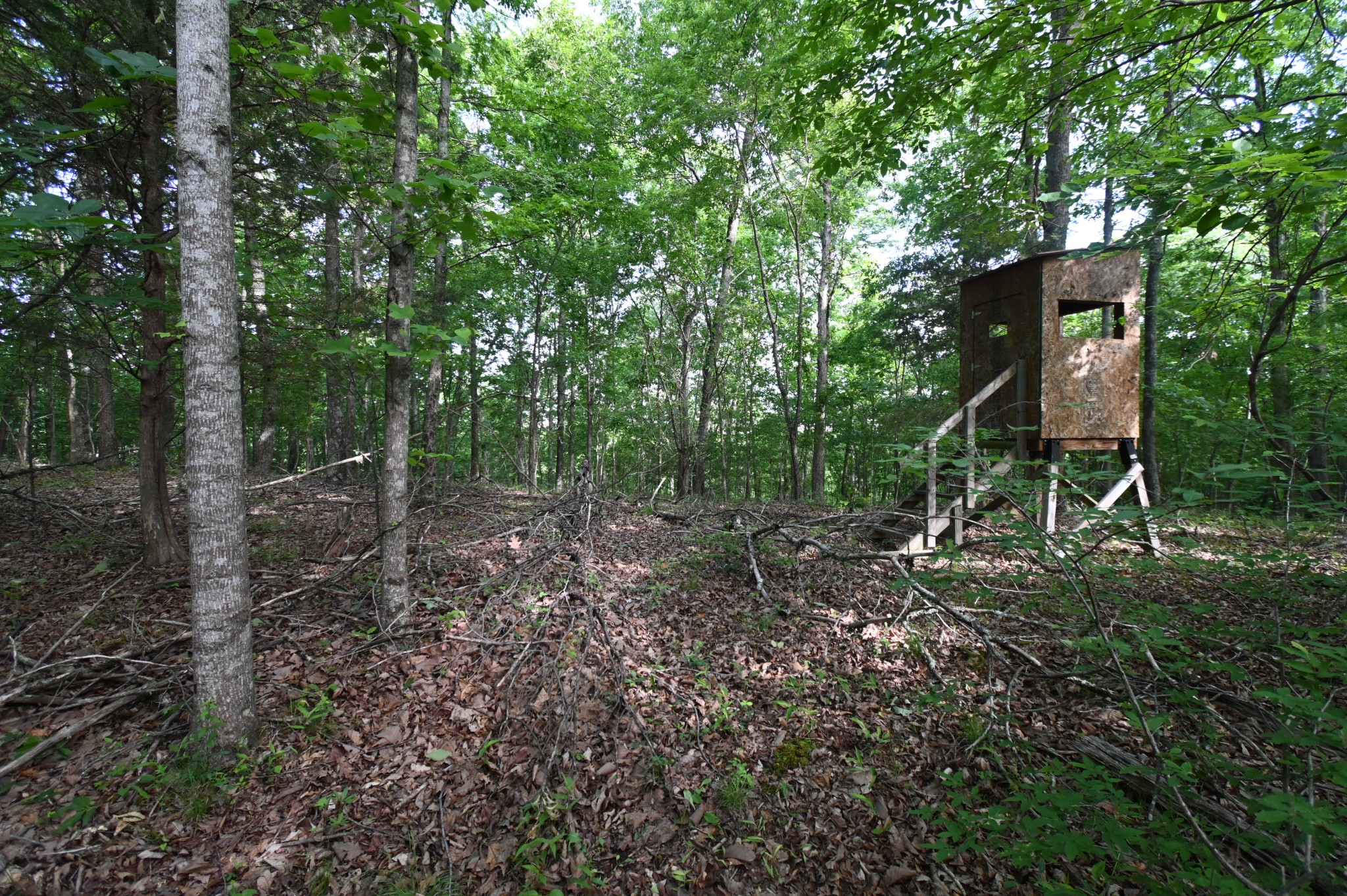 0 Lower Crooked Creek Rd Property Photo 1