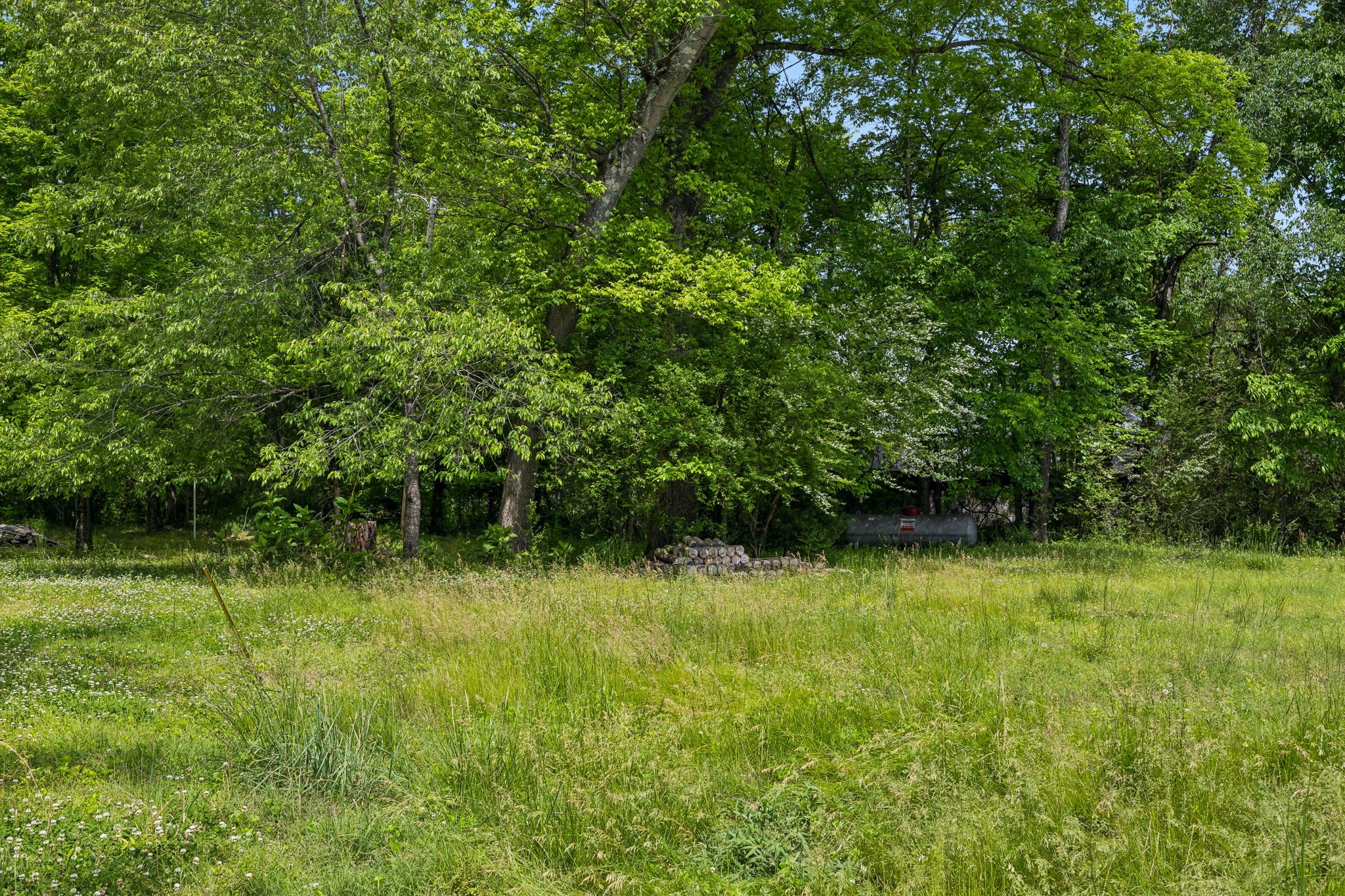 1675 Balthrop Branch Rd Property Photo 24