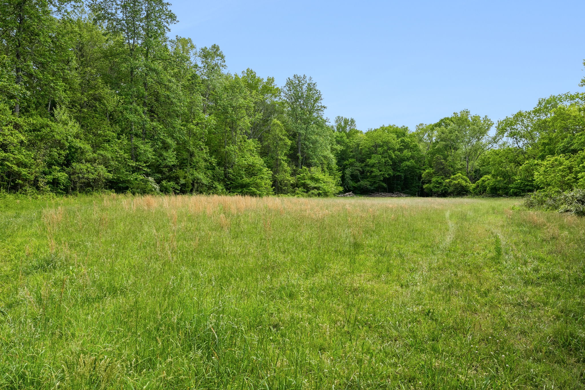 1675 Balthrop Branch Rd Property Photo 29