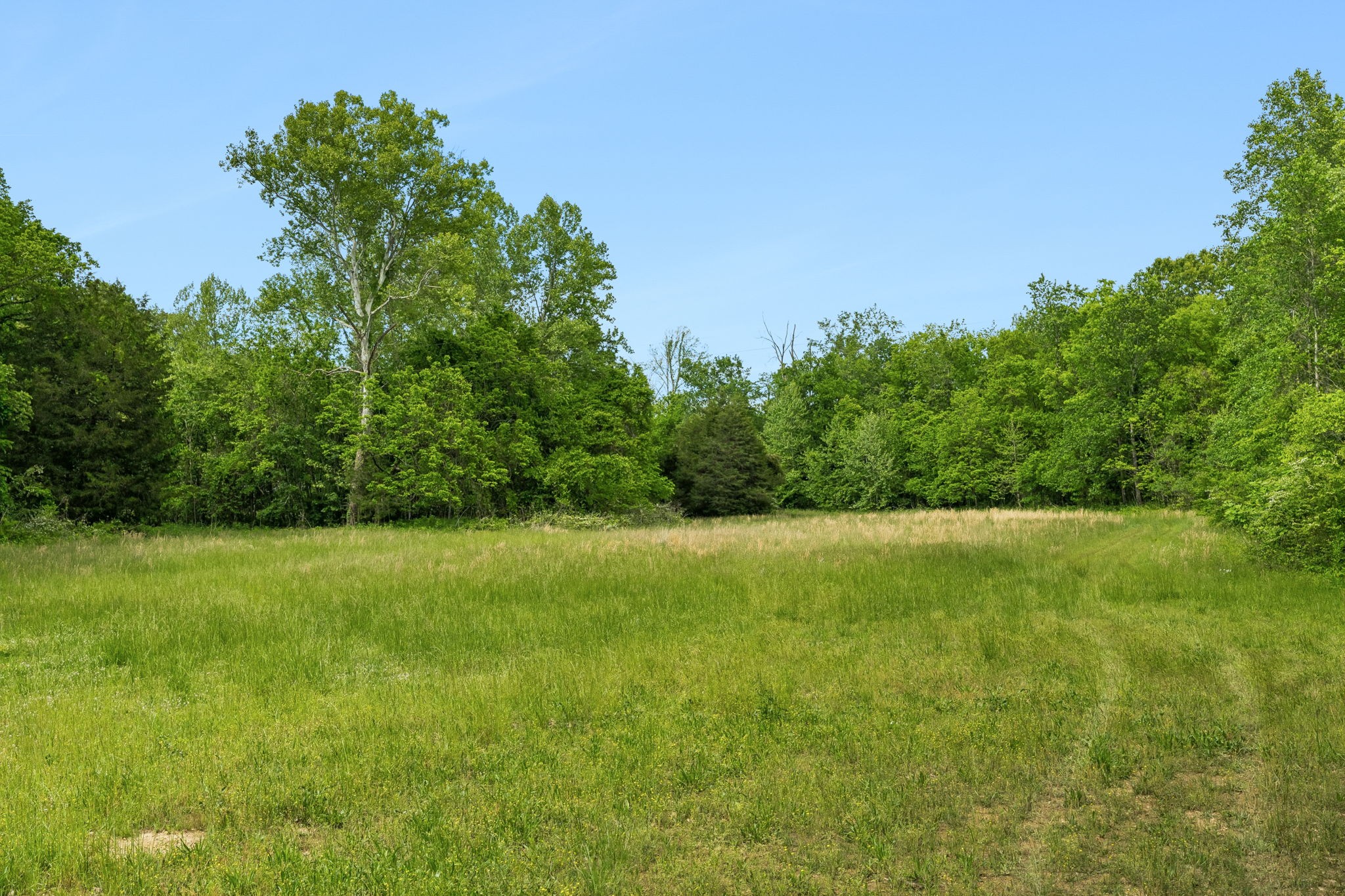1675 Balthrop Branch Rd Property Photo 30