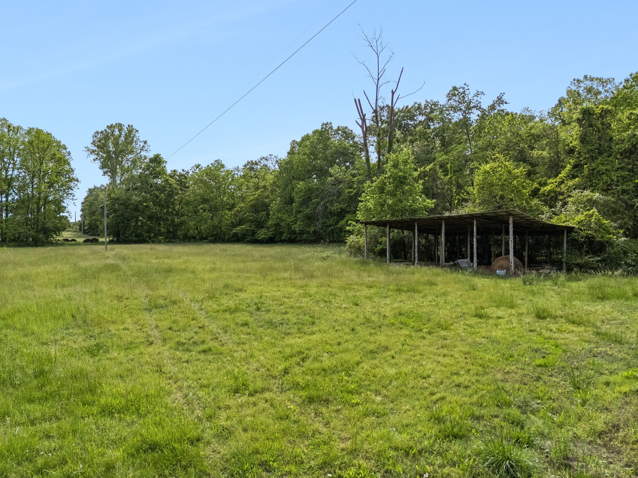 1675 Balthrop Branch Rd Property Photo 35