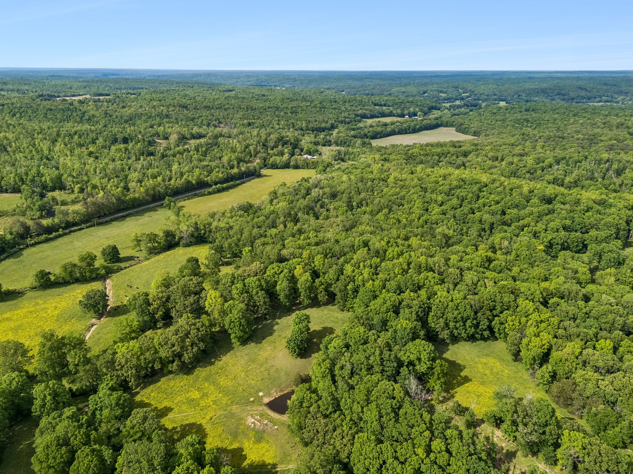 1675 Balthrop Branch Rd Property Photo 49