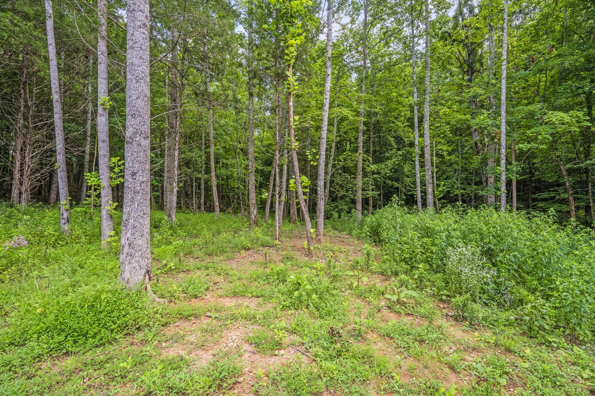 1068 Carl Perry Rd Property Photo 52