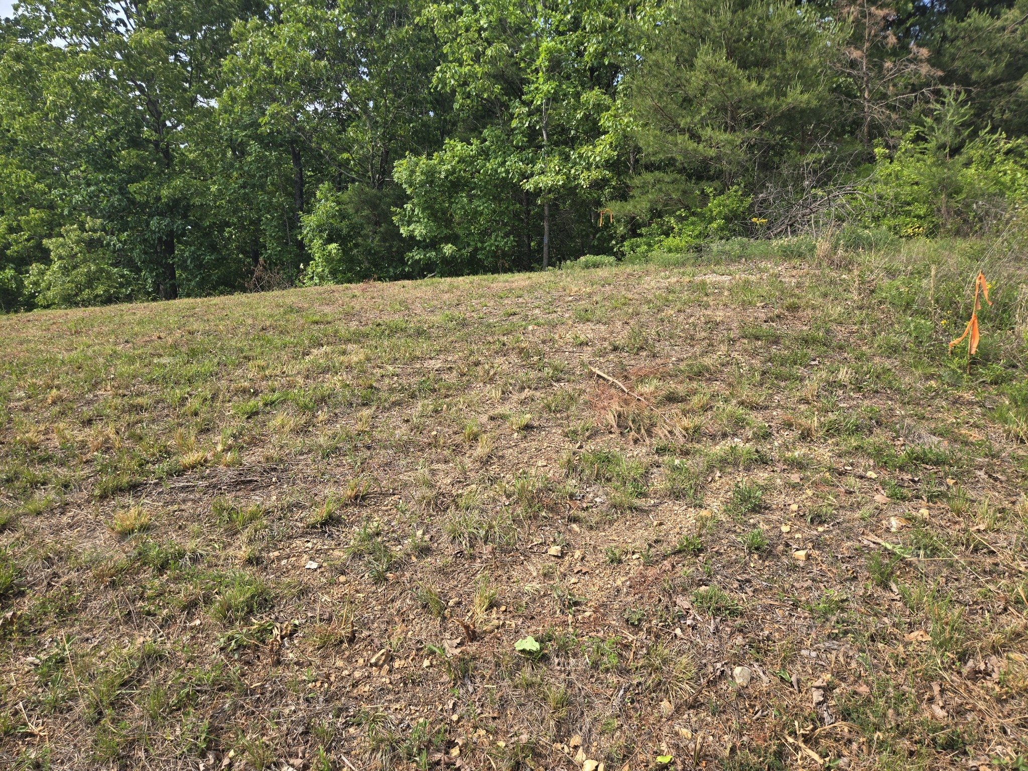 2 Turtle Point Property Photo 2