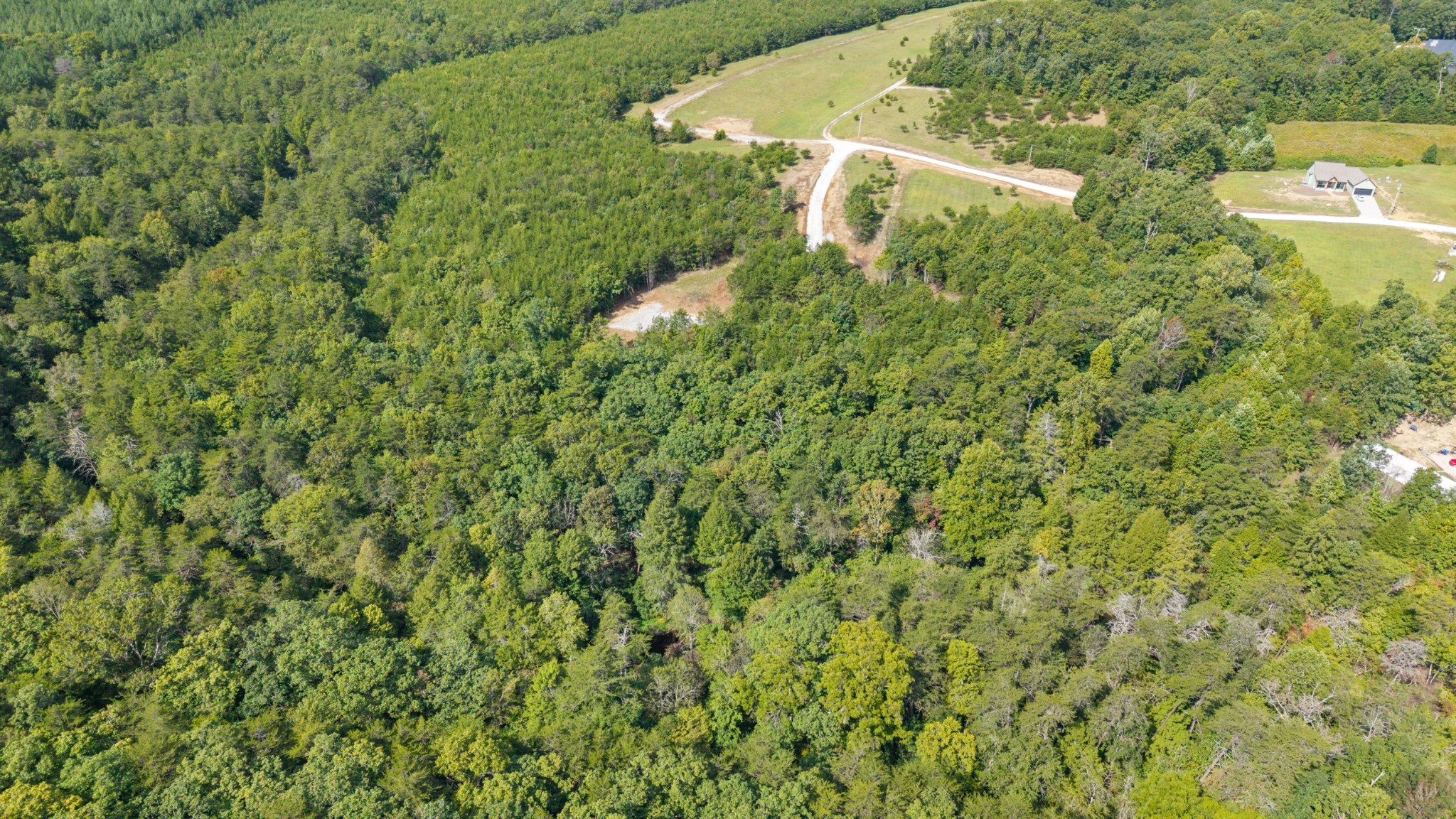 54 Creekview Ln Property Photo 4