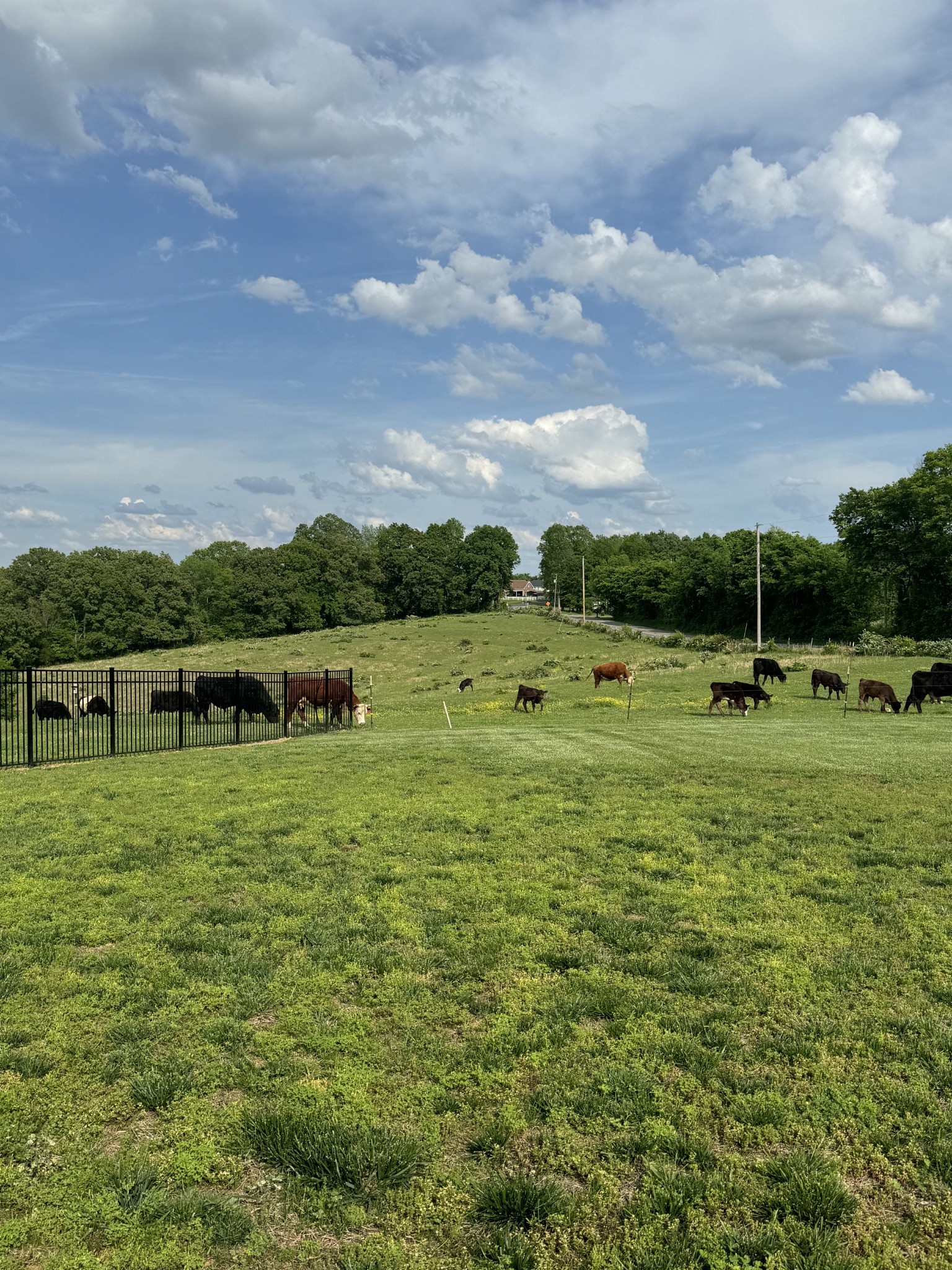 1045 Mcclure Rd Property Photo 42