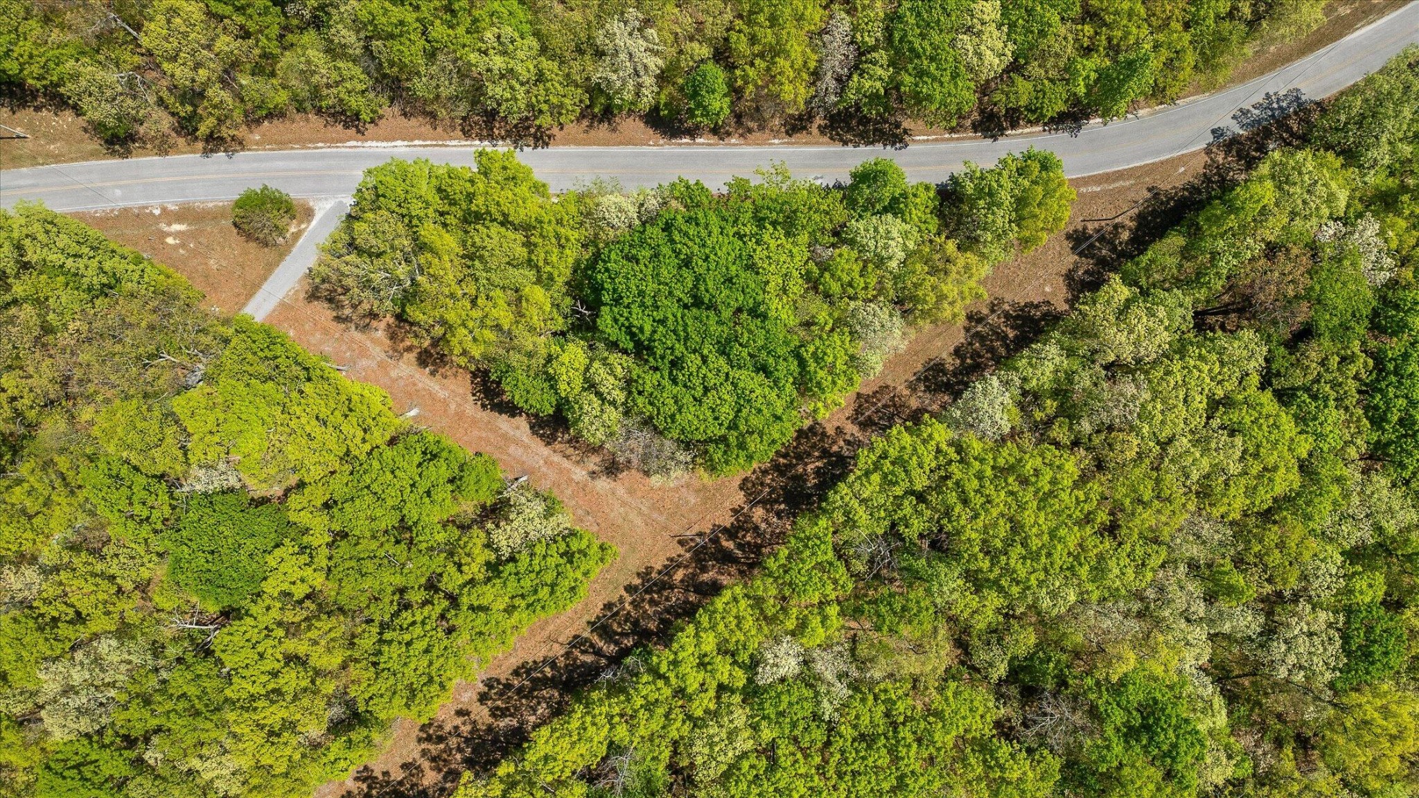 0 Deepwoods Road Property Photo 3