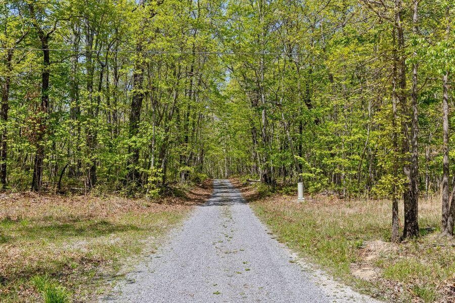 0 Deepwoods Road Property Photo 5