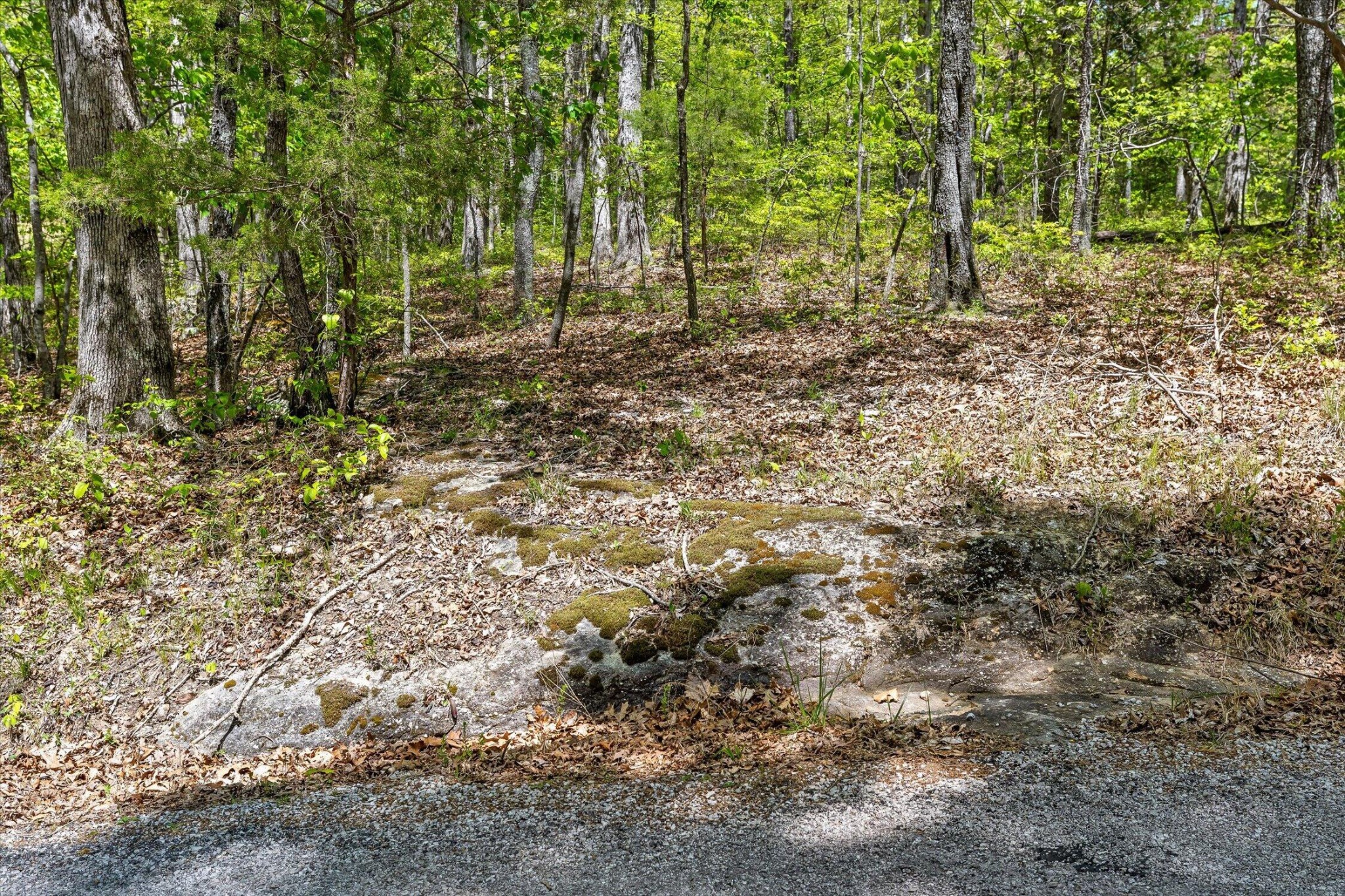 0 Deepwoods Road Property Photo 13