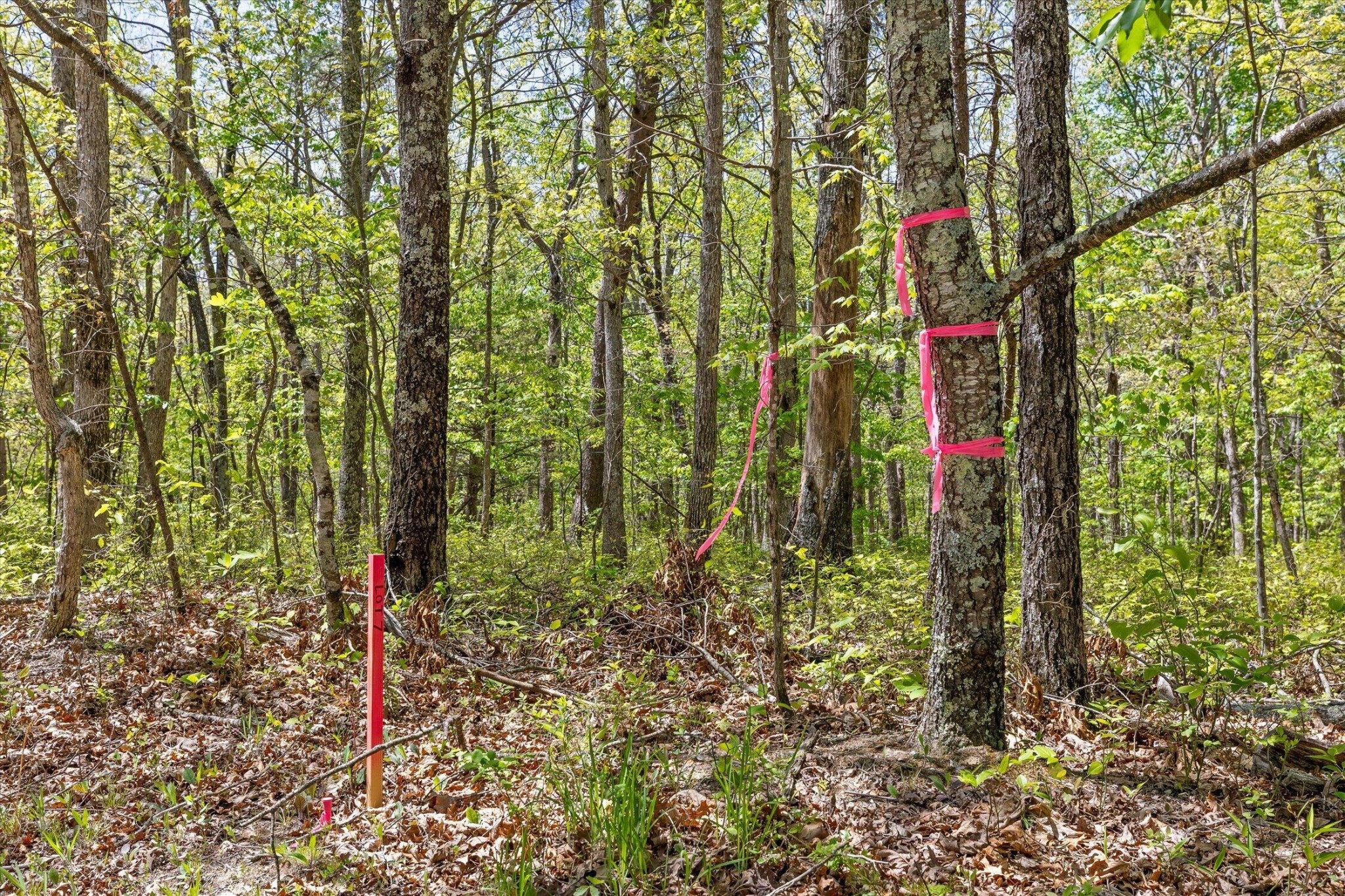0 Deepwoods Road Property Photo 14